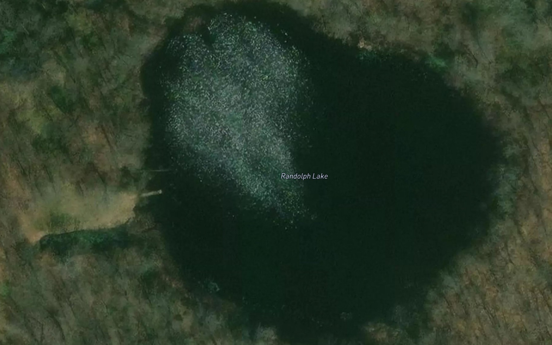 Satellite map of the Randolph Lake