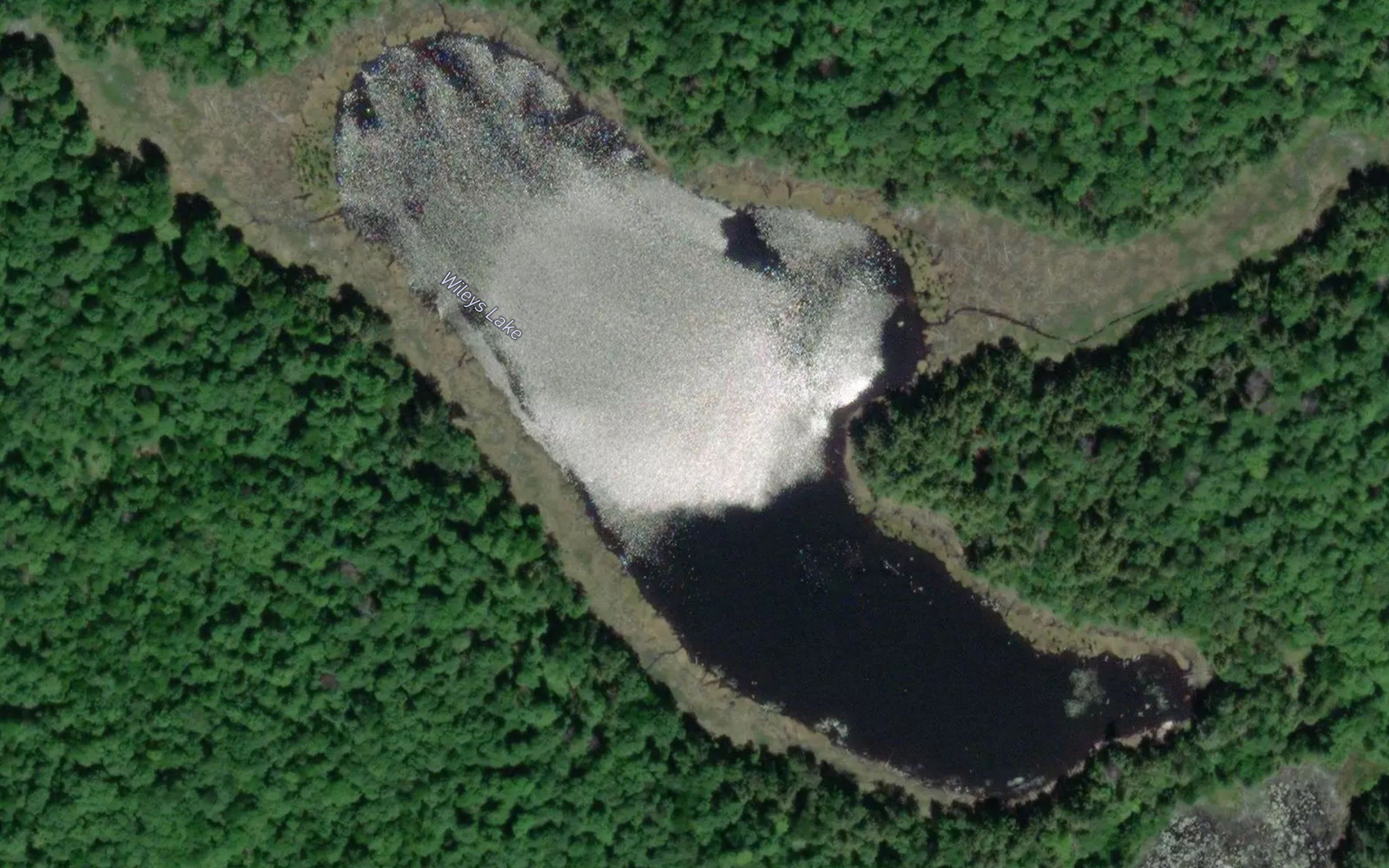 Wileys Lake