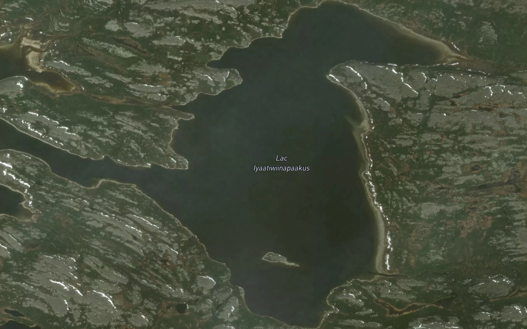 Satellite map of the Lac Iyaatiwiinapaakus