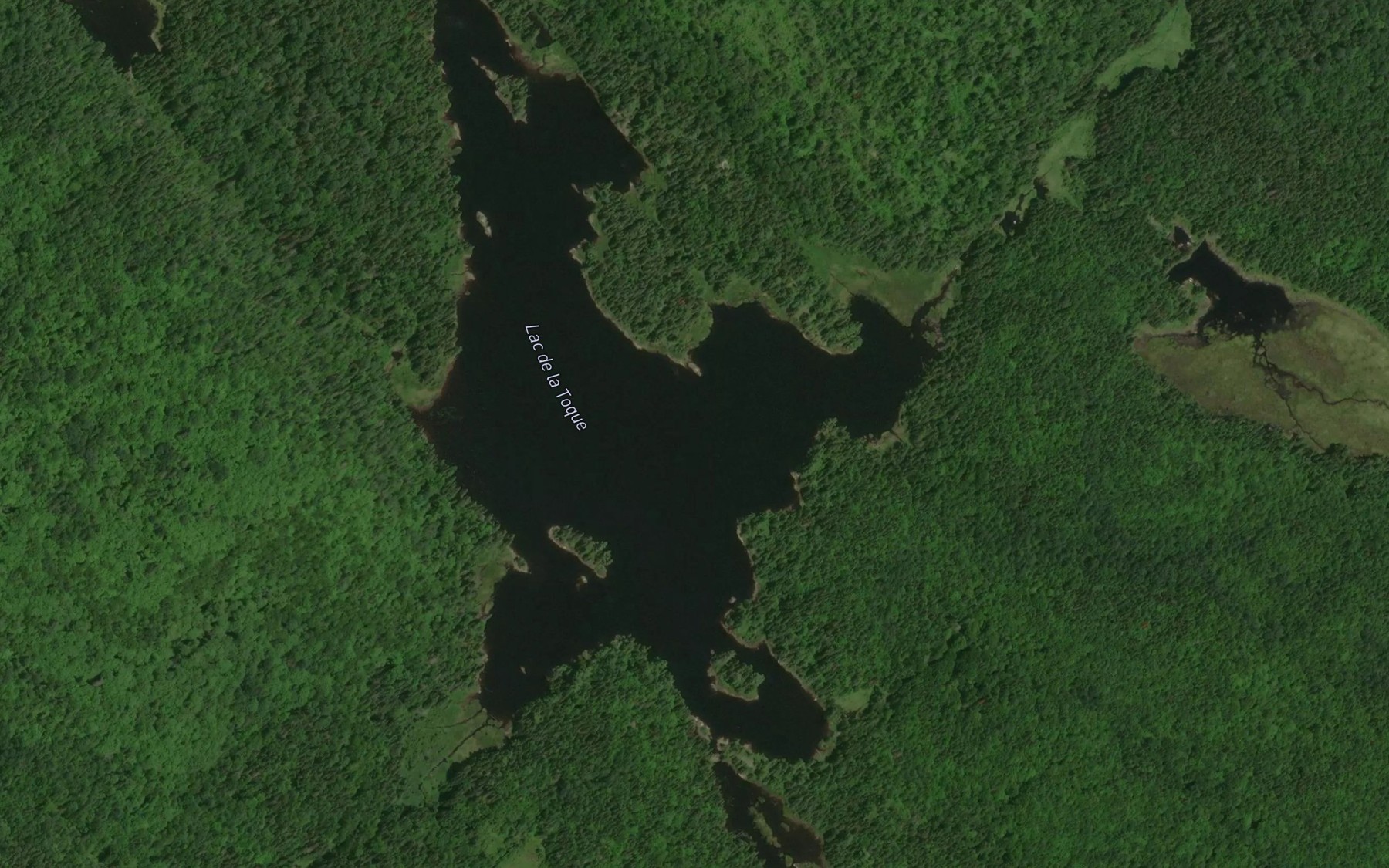 Satellite map of the Lac de la Toque
