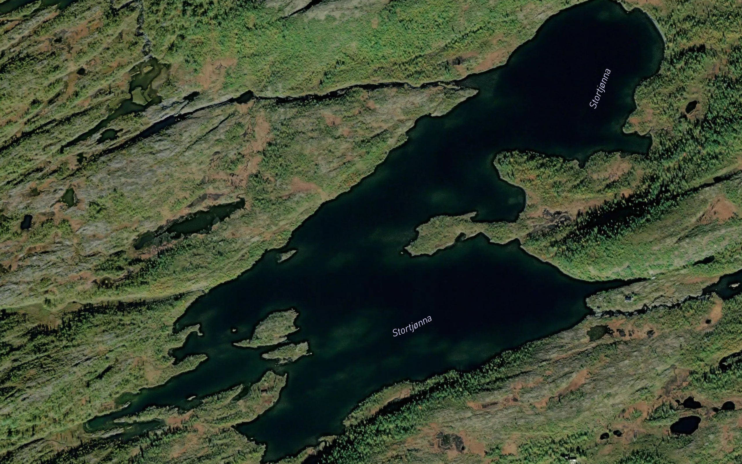 Stortjorna
