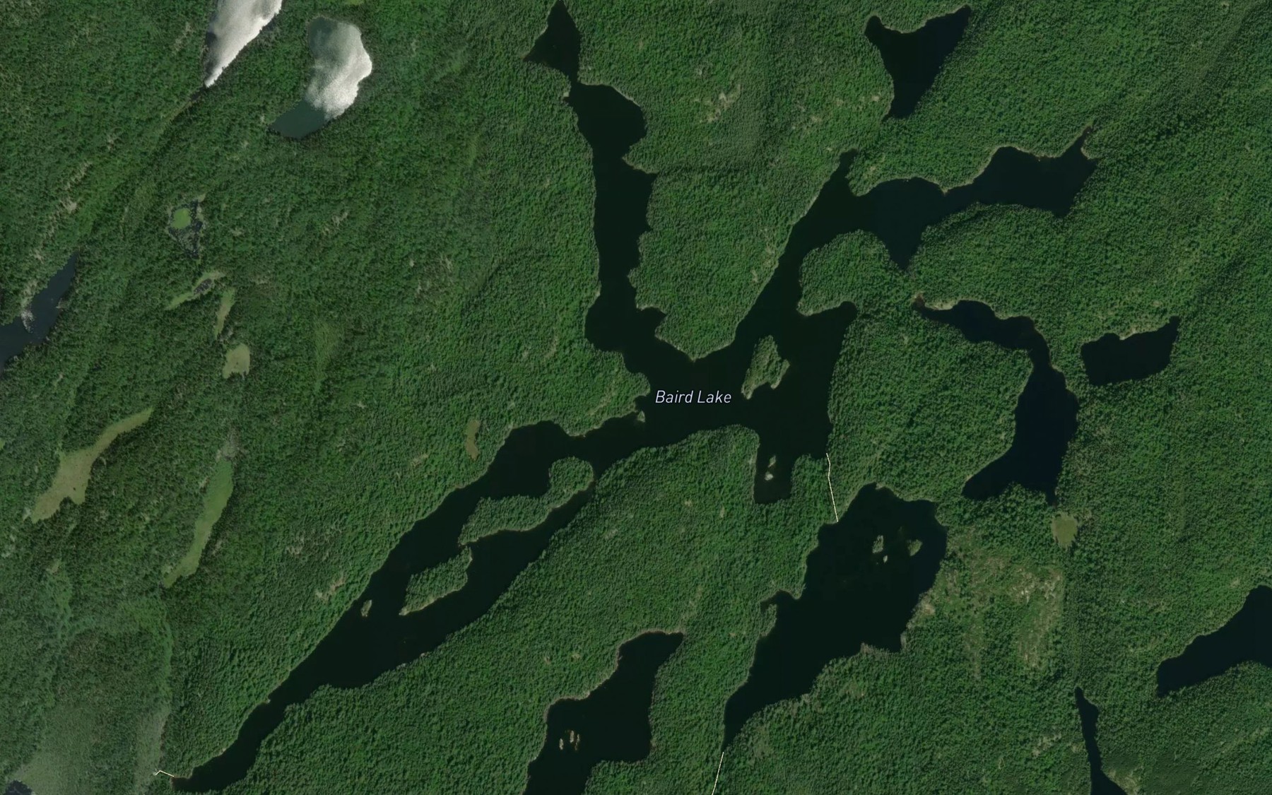 Satellite map of the Baird Lake
