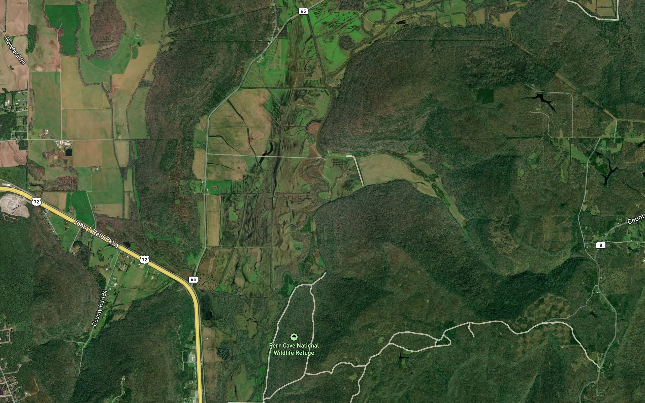 Laurel Branch