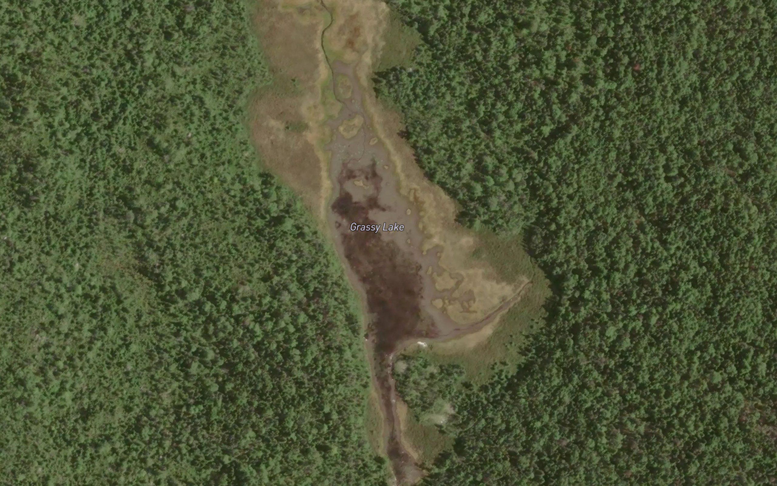 Grassy Lake