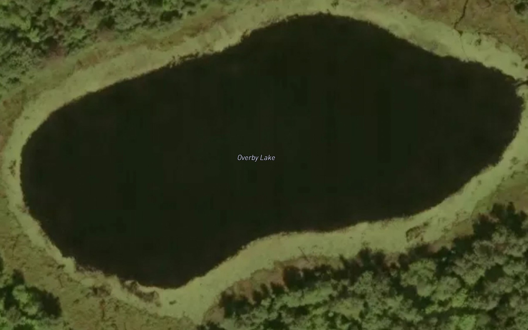 Satellite map of the Overby Lake