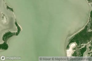 Estero Bayuco de Oro