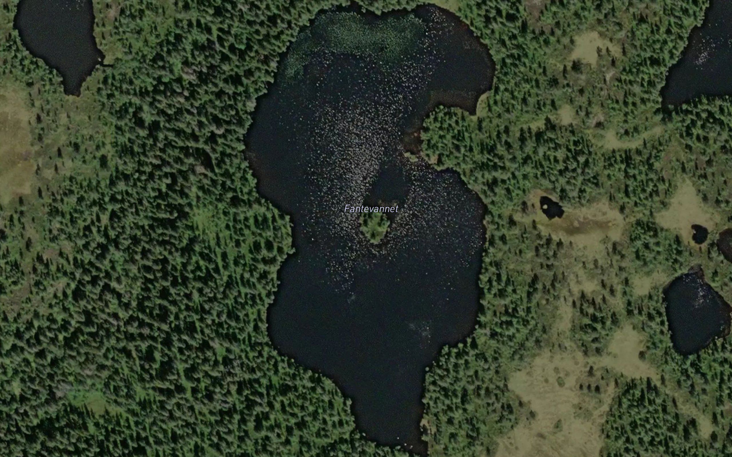 Fantevannet