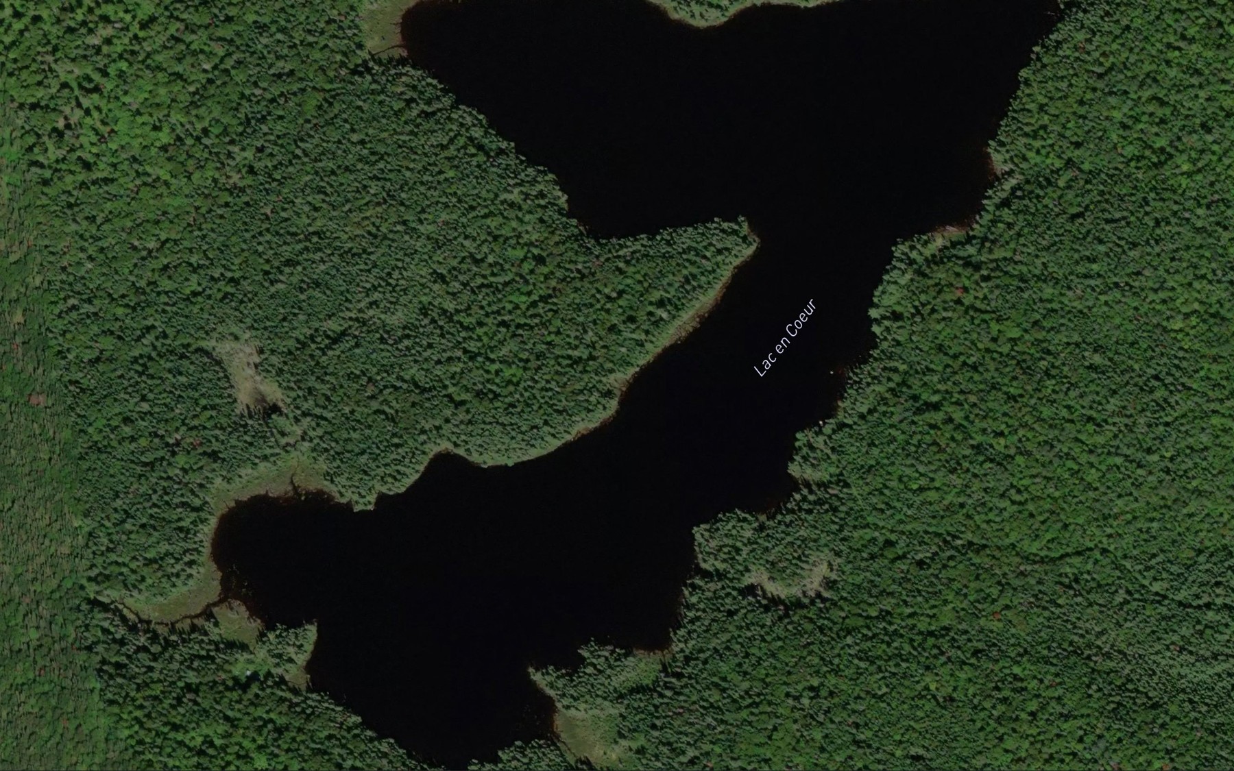 Satellite map of the Lac en Coeur