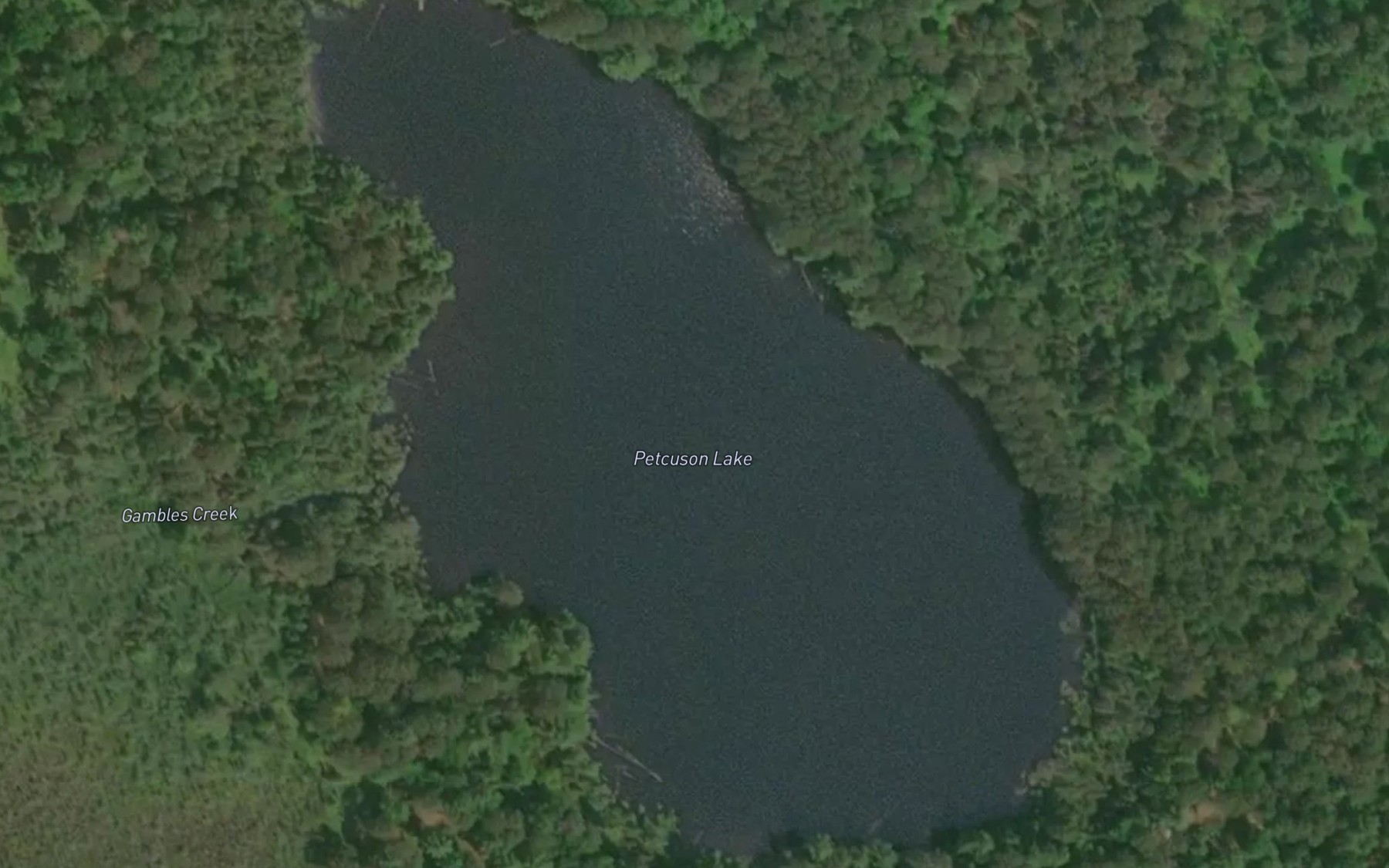 Satellite map of the Petcuson Lake