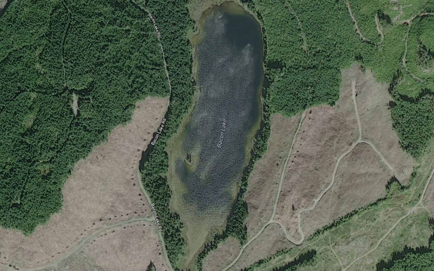 Satellite map of the Bacon Lake