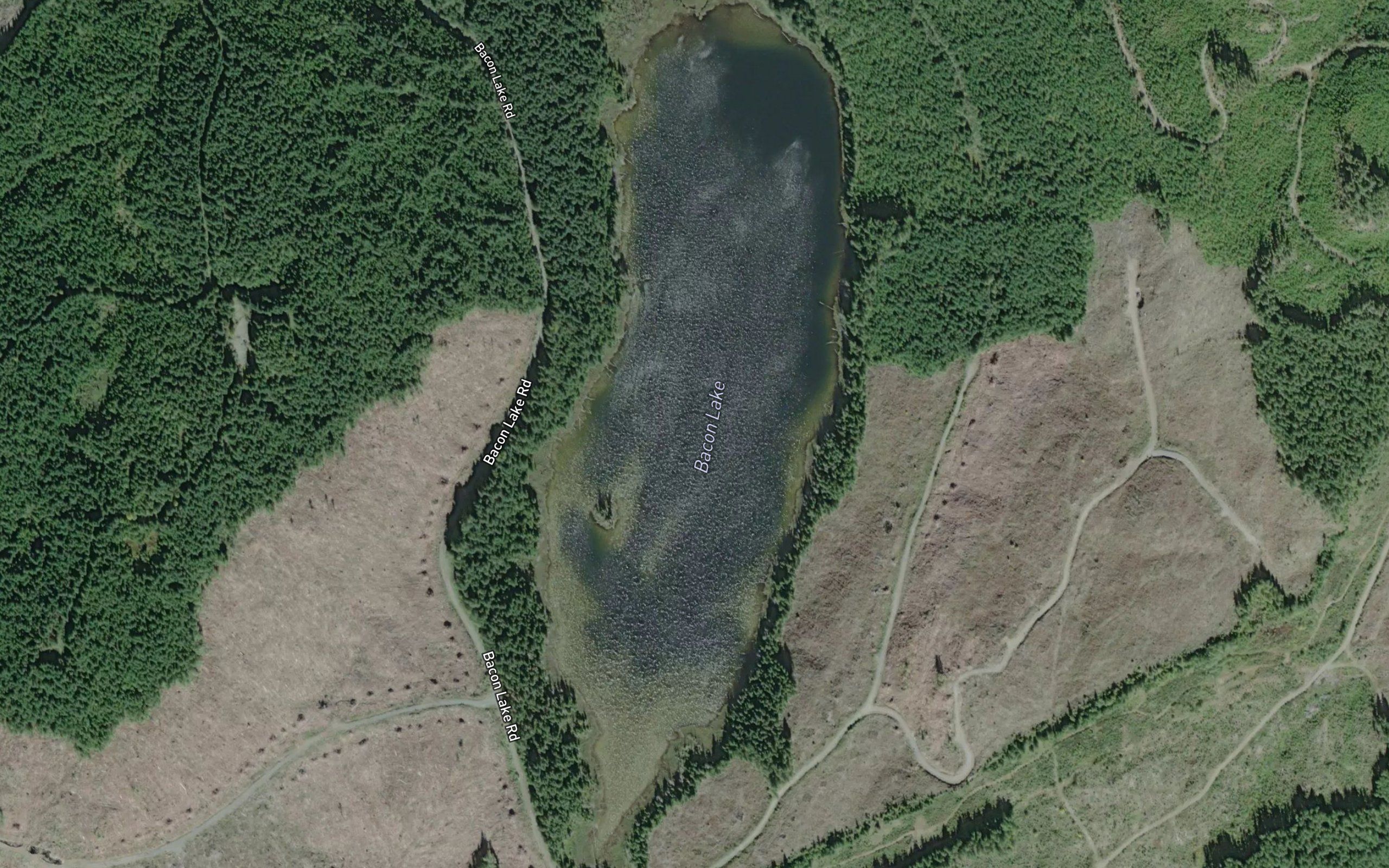 Bacon Lake