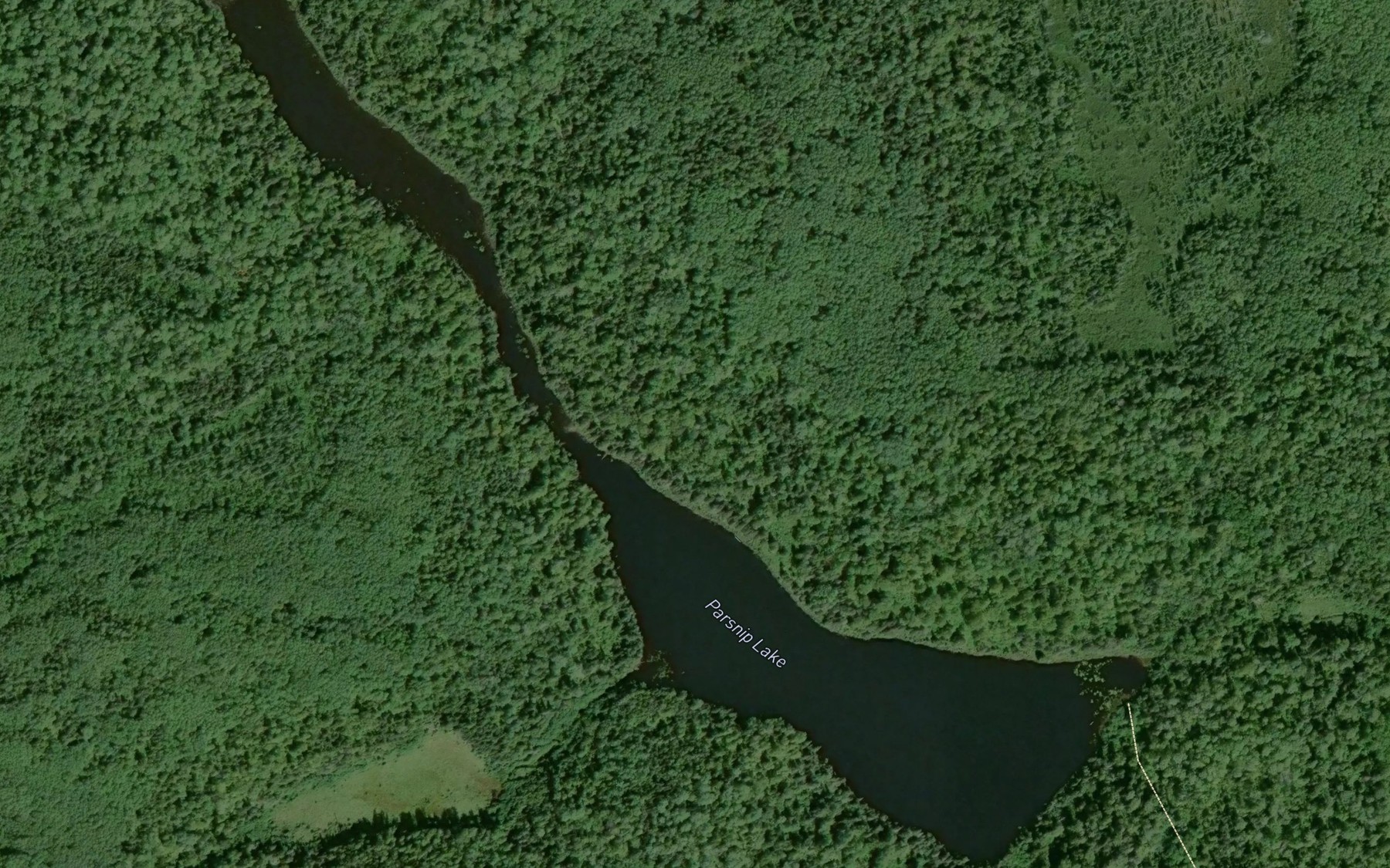 Satellite map of the Parsnip Lake