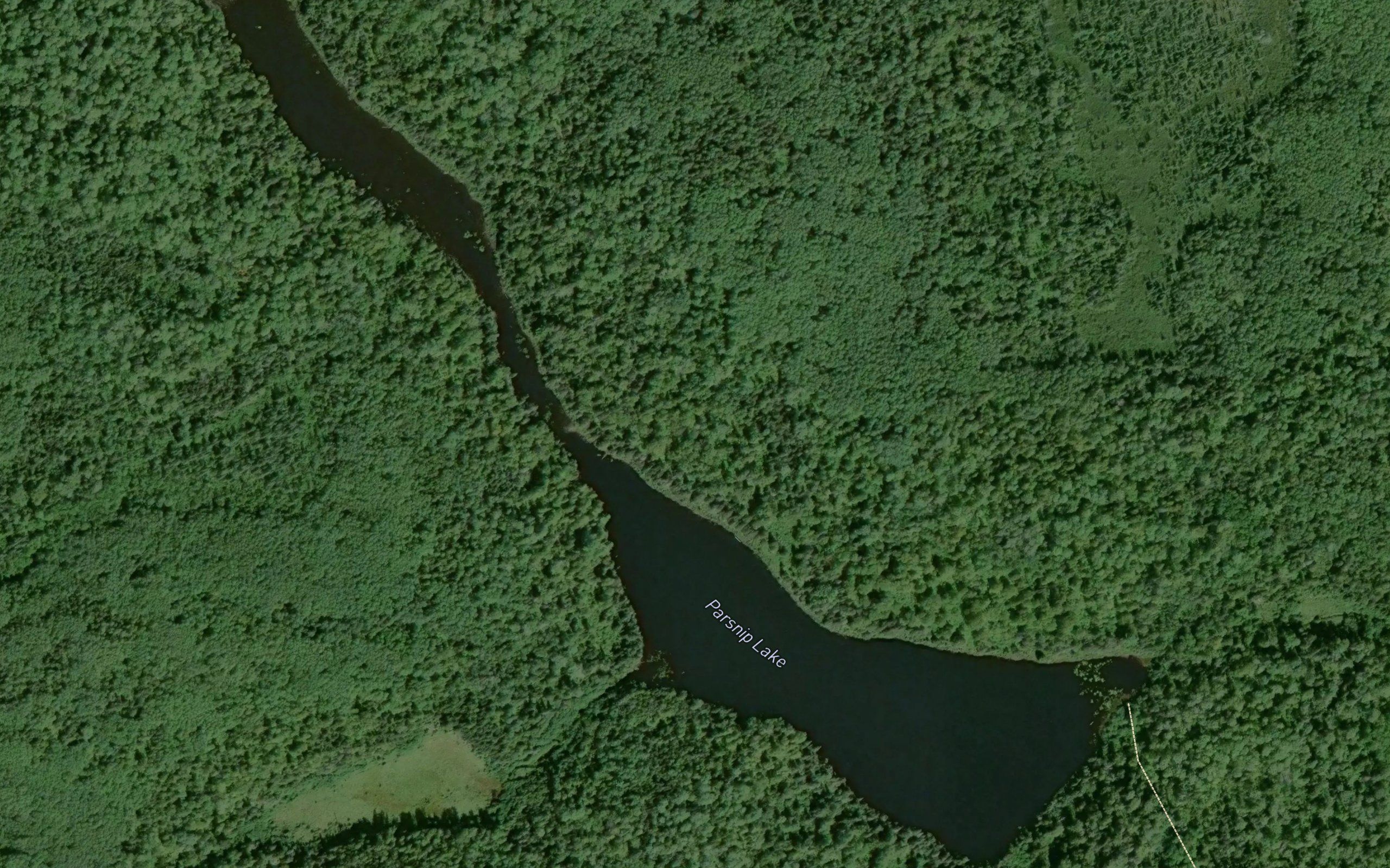 Parsnip Lake