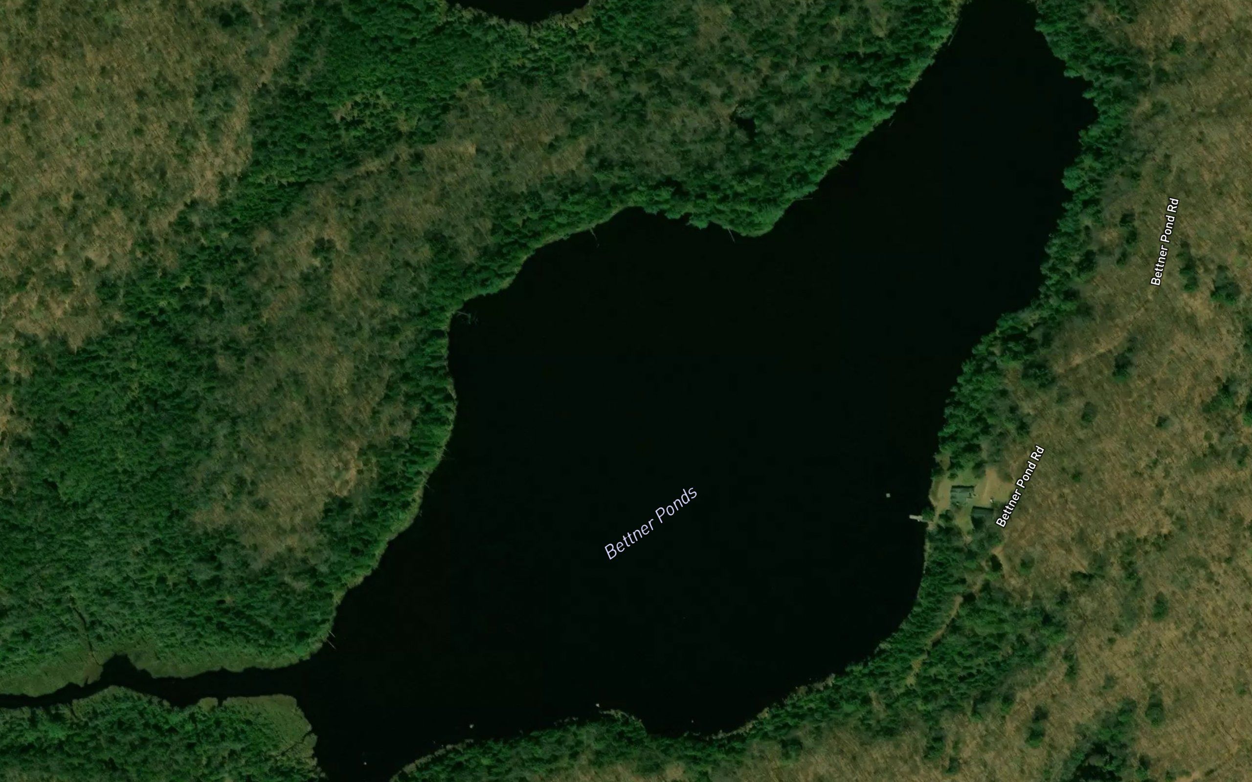 Bettner Ponds