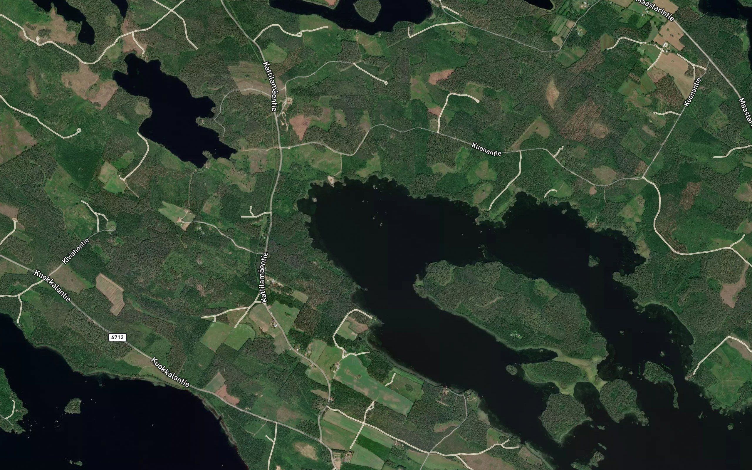 Kokkohauta