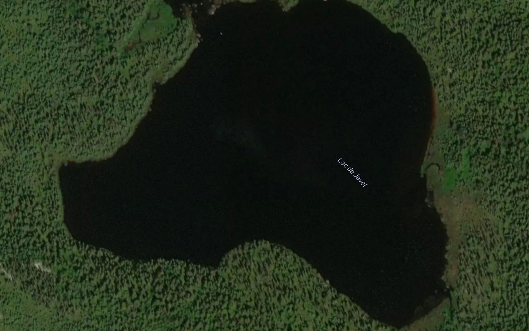 Satellite map of the Lac de Javel