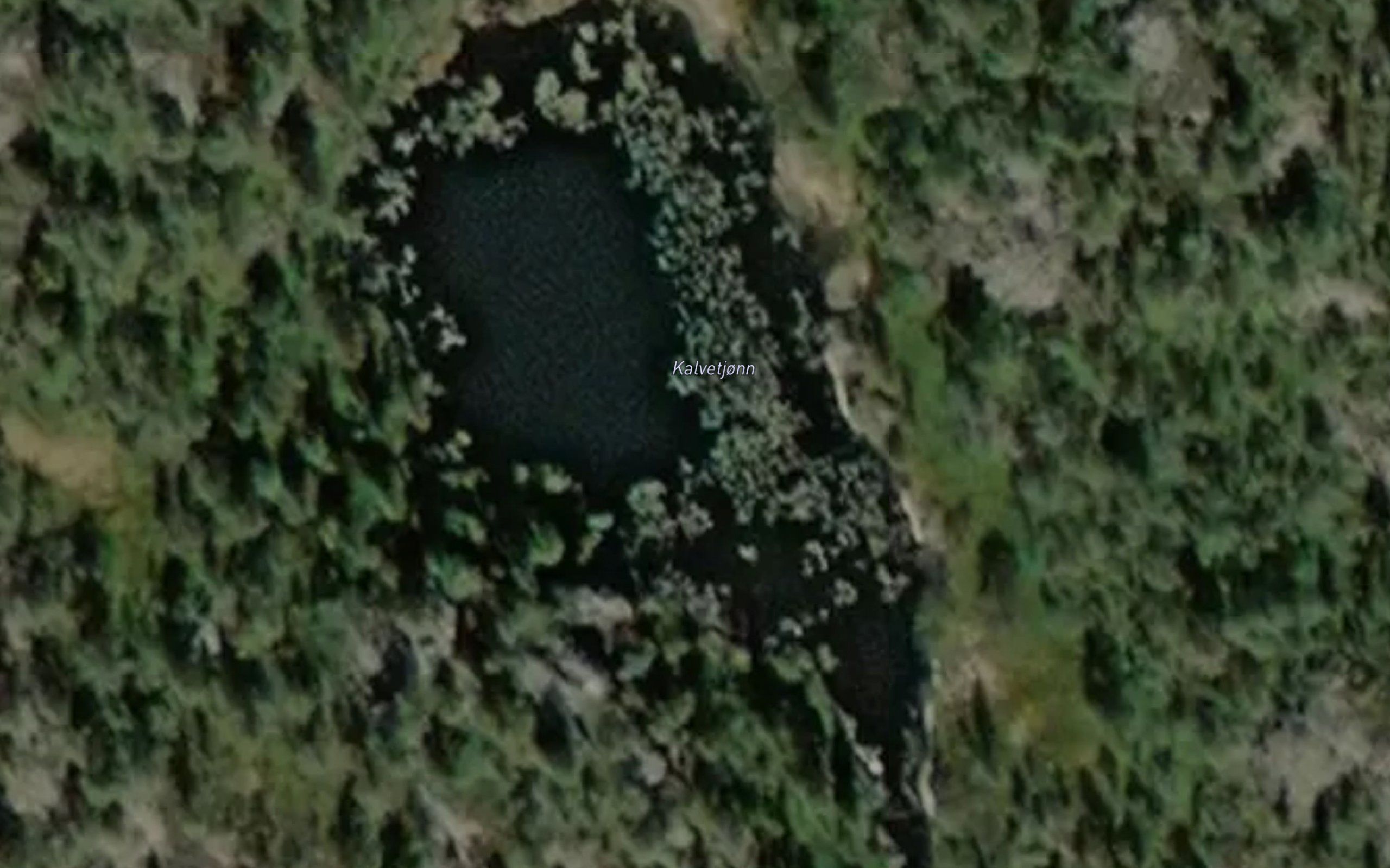 Kalvetjonn