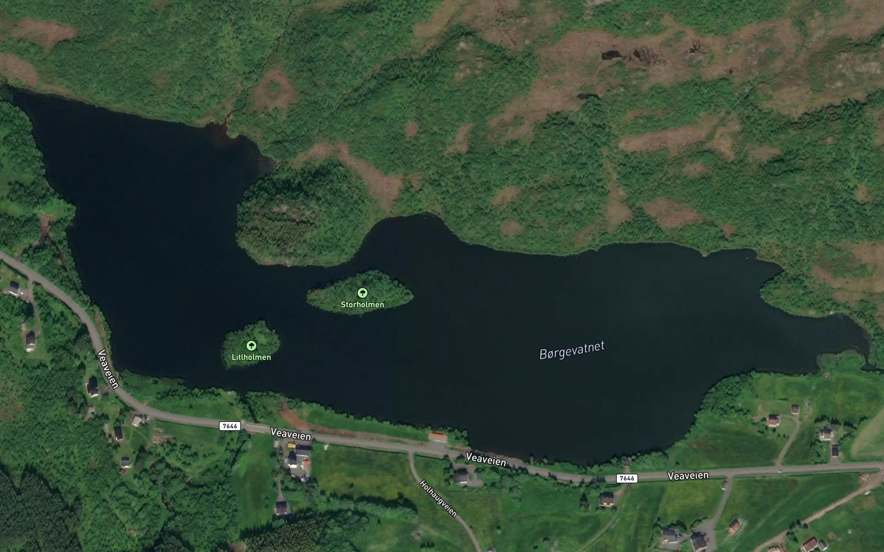 Satellite map of the Borgevatnet