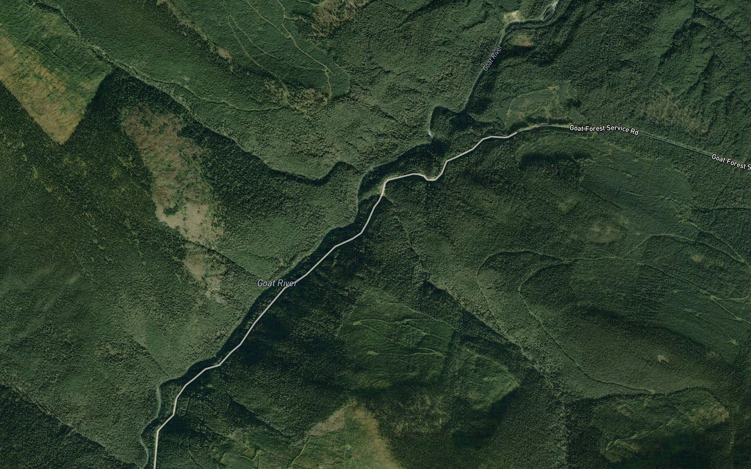 Bounding Creek