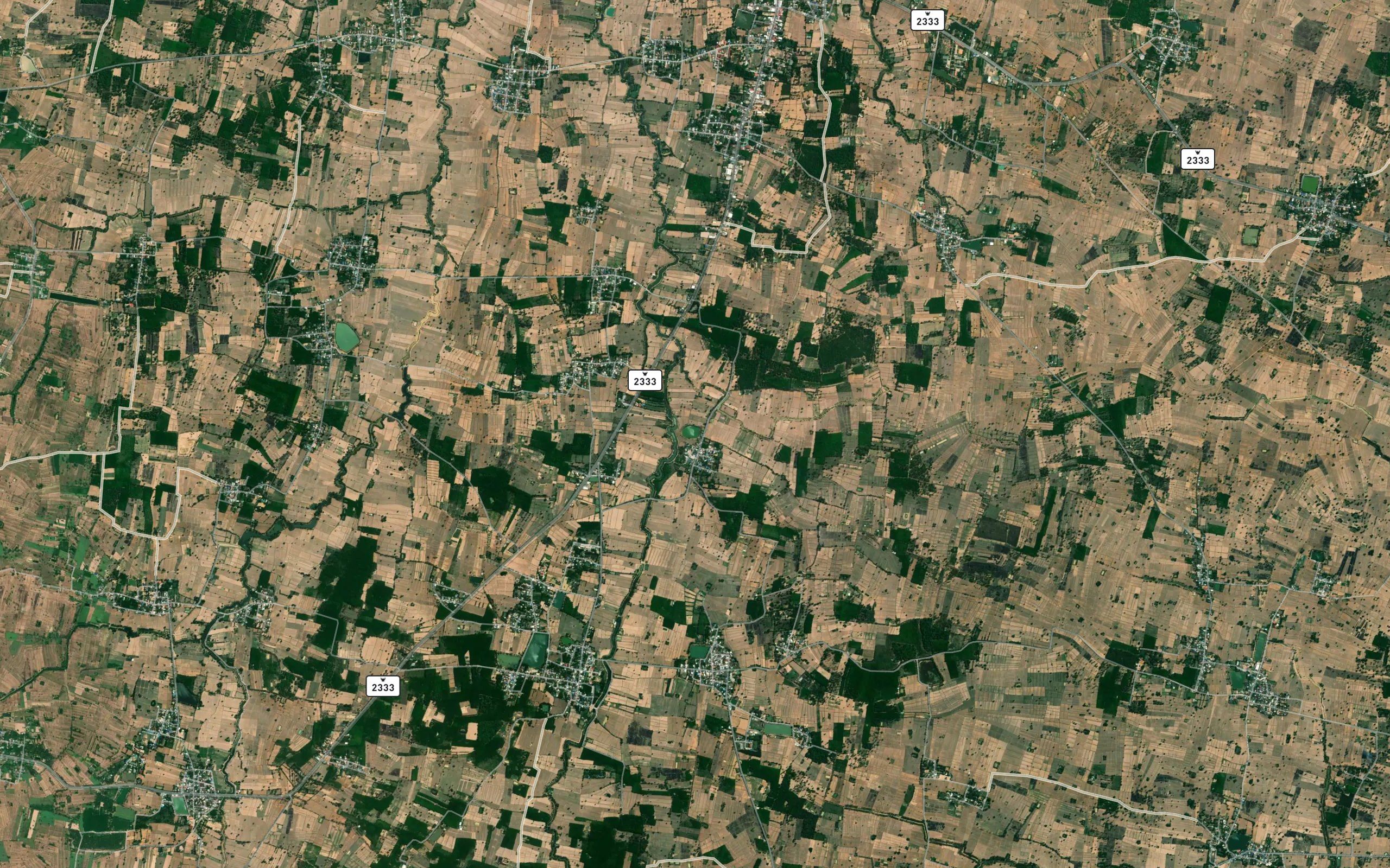 Nong Pa