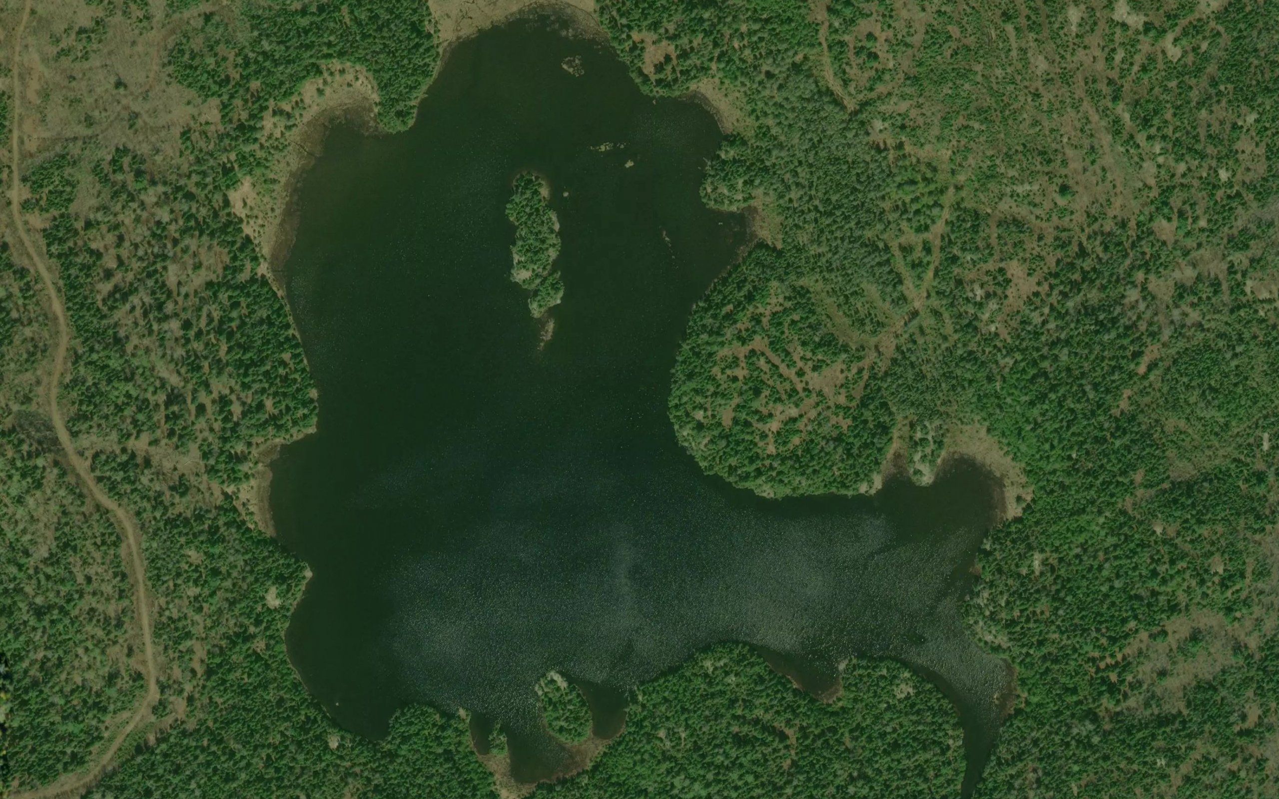North Foley Lake