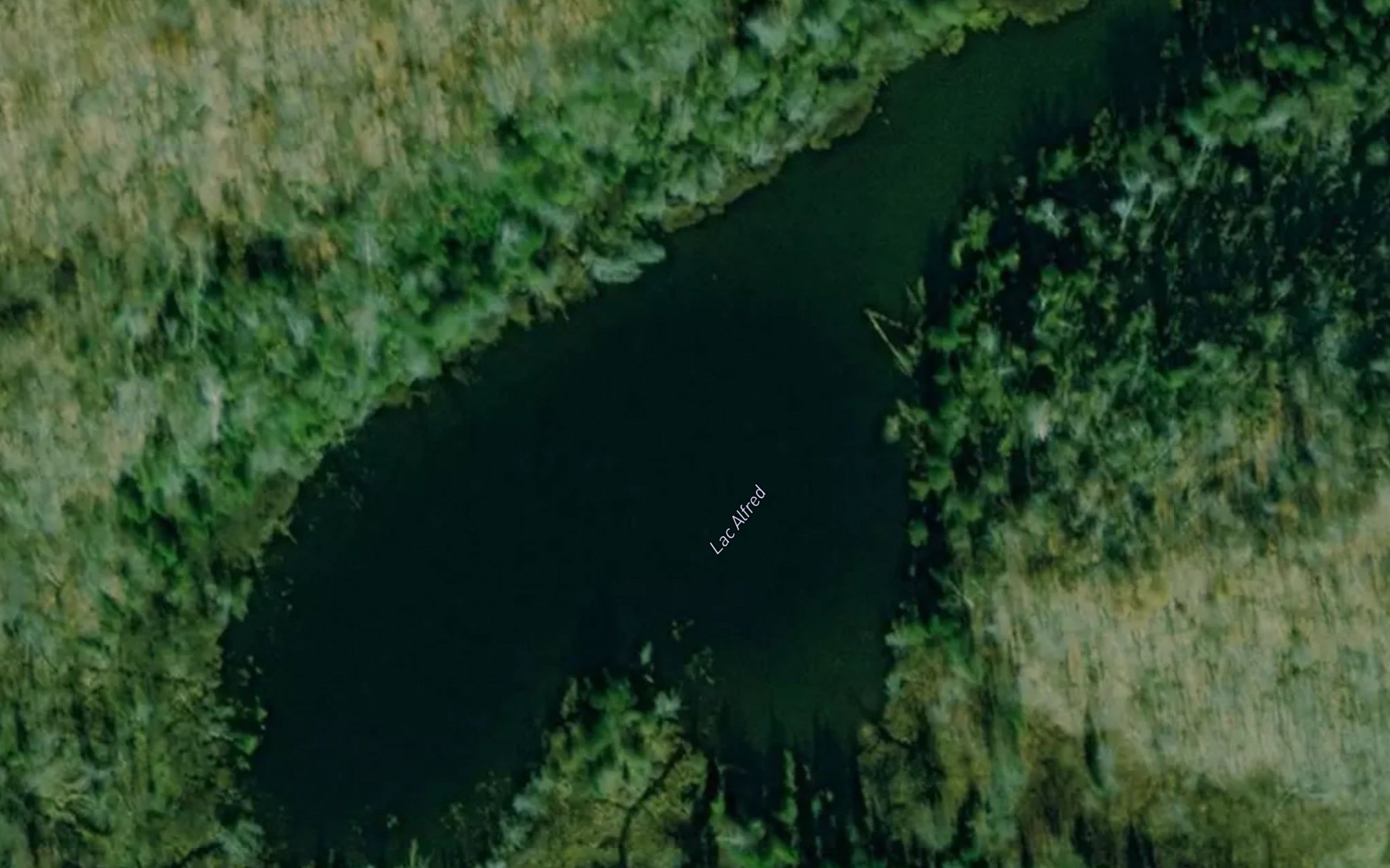 Satellite map of the Lac Alfred