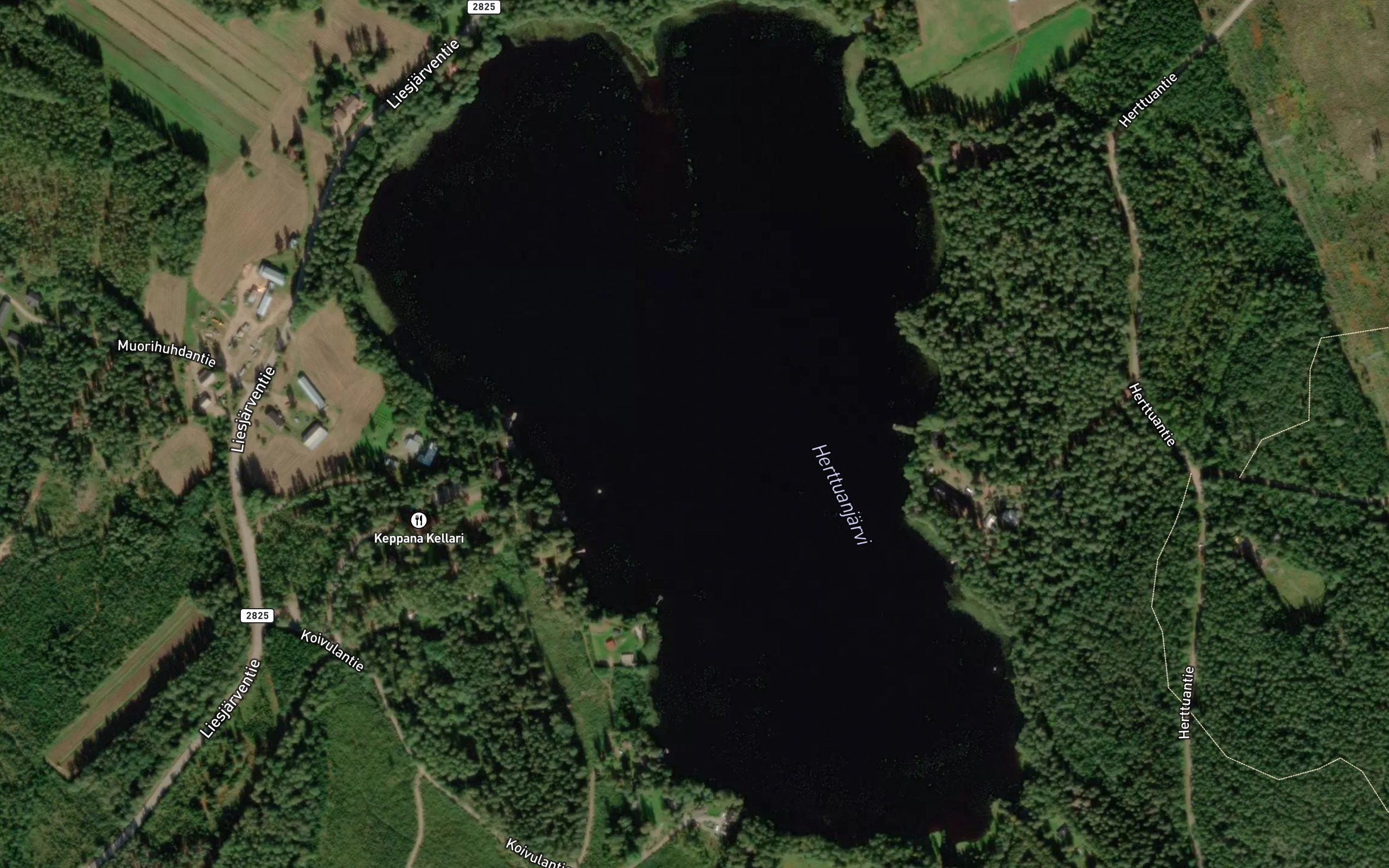 Herttuanjarvi