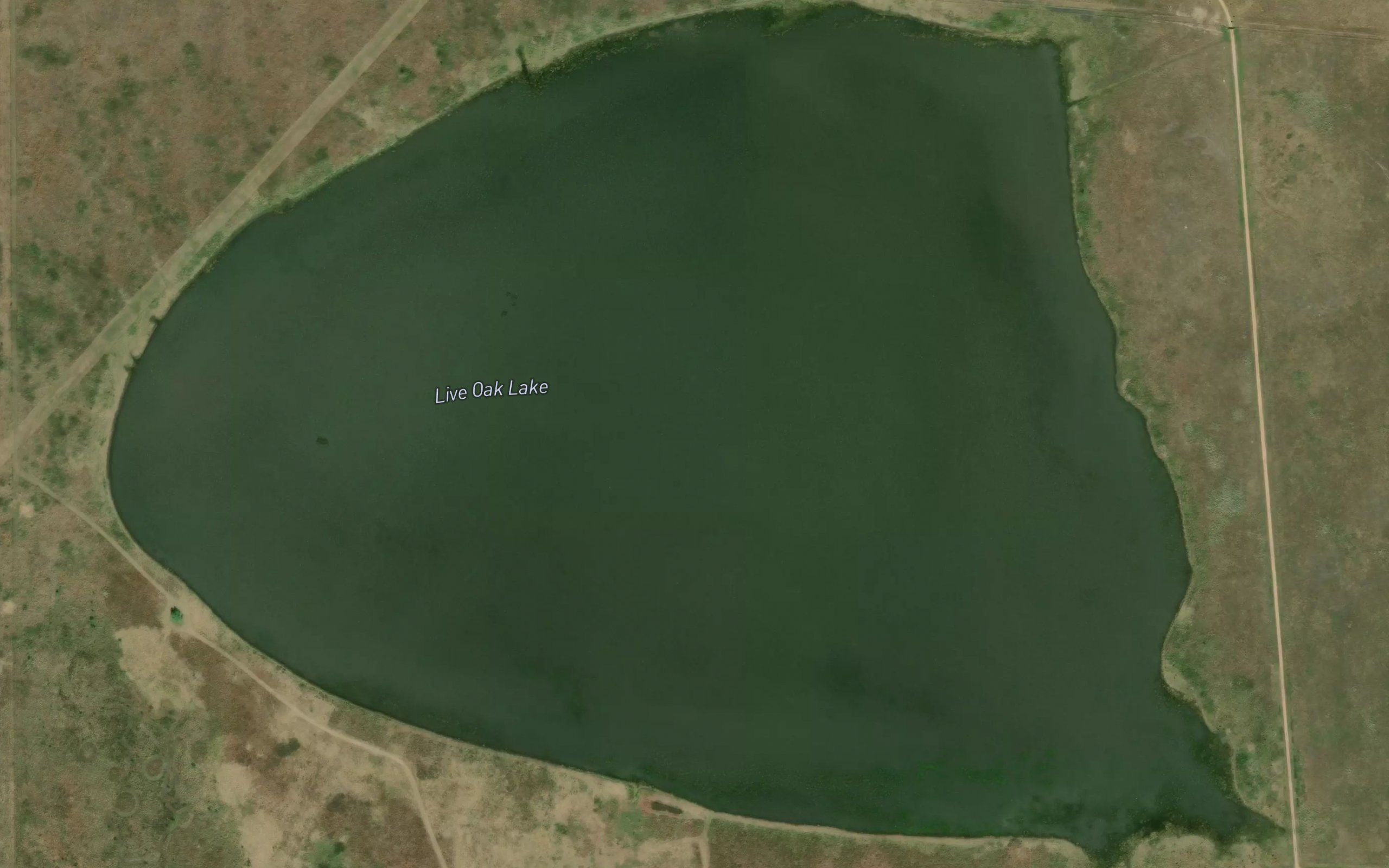 Live Oak Lake