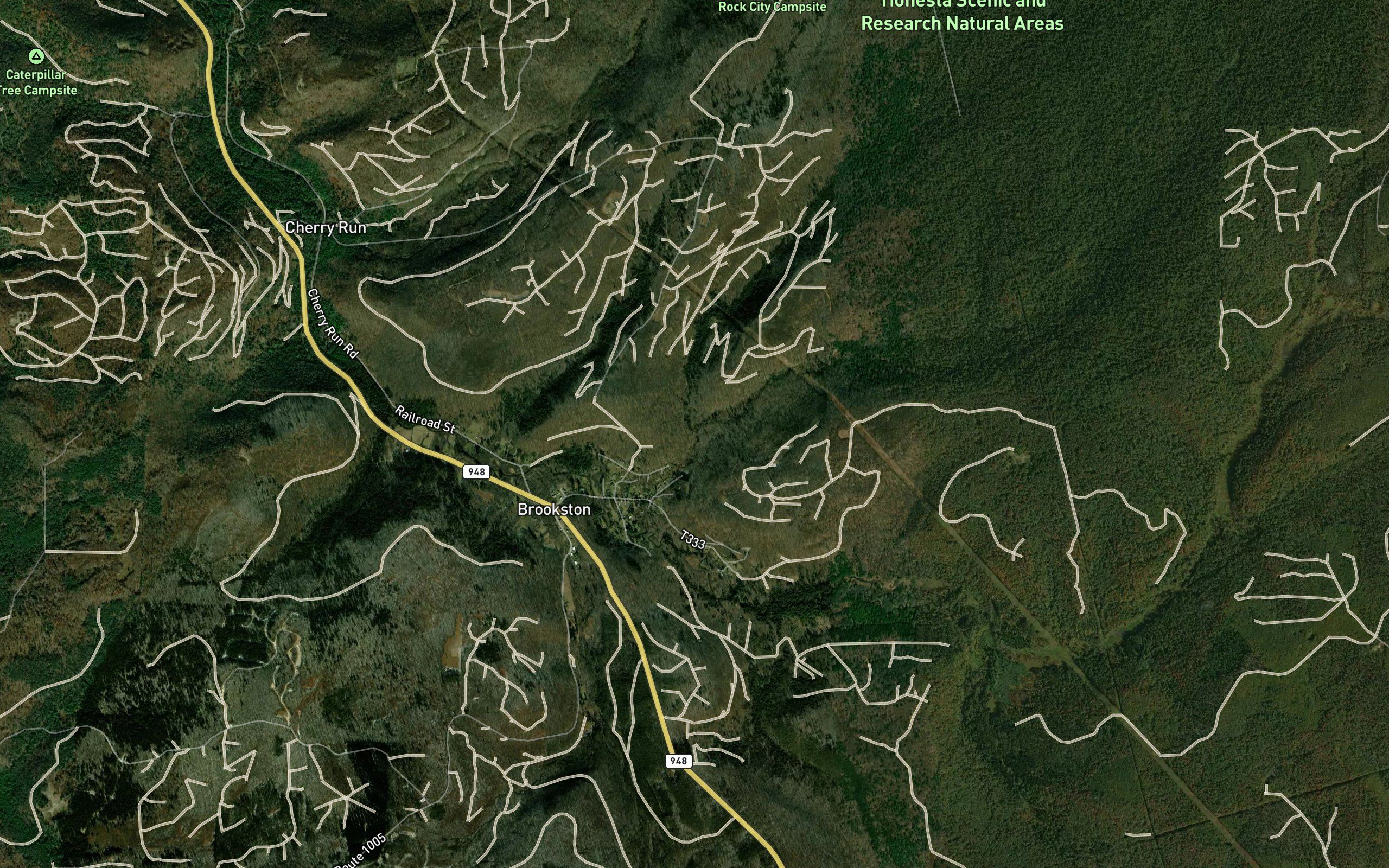 East Fork Run