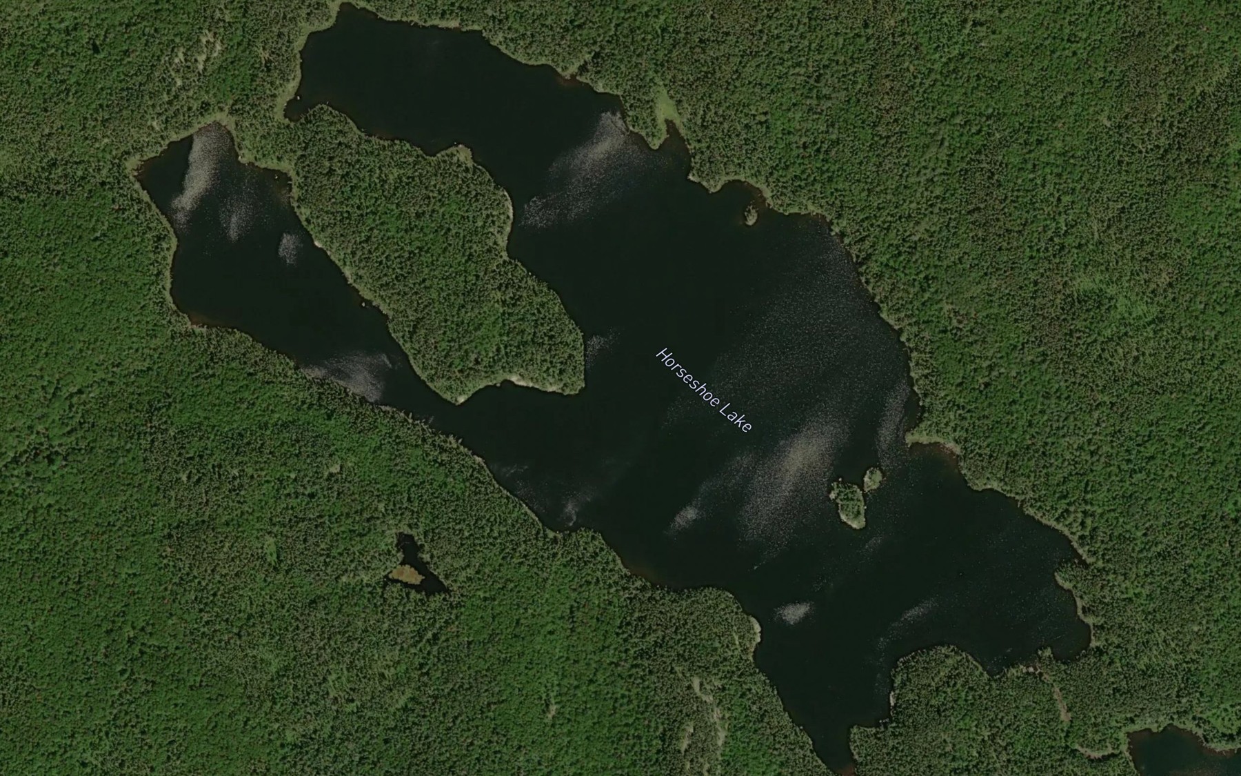 Satellite map of the Horseshoe Lake