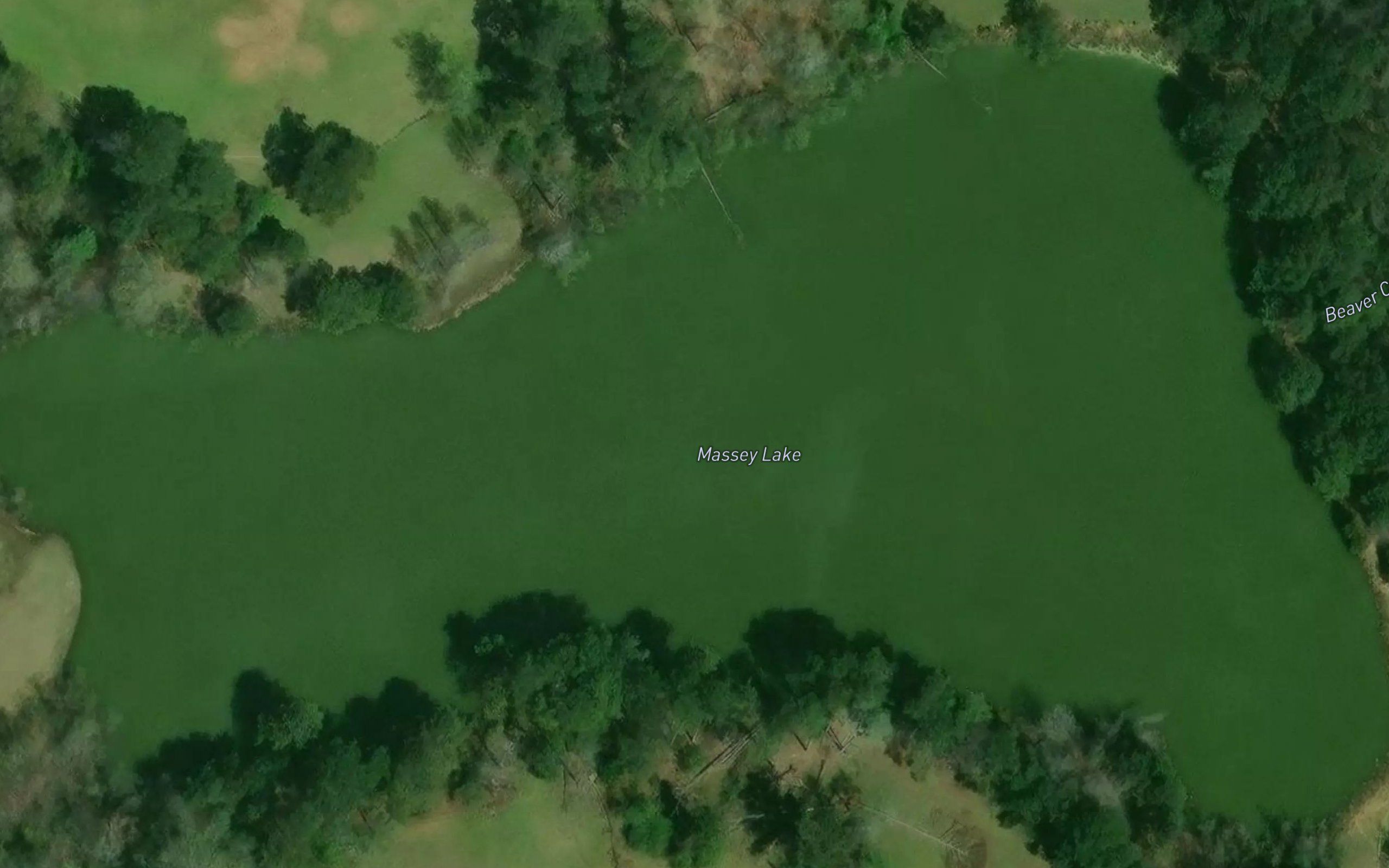 Massey Lake