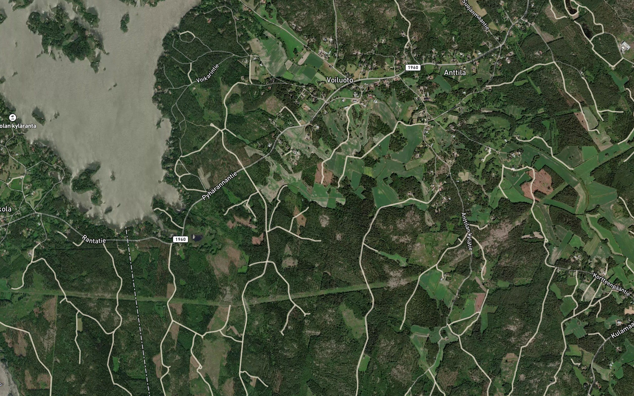 Kiviraumanoja