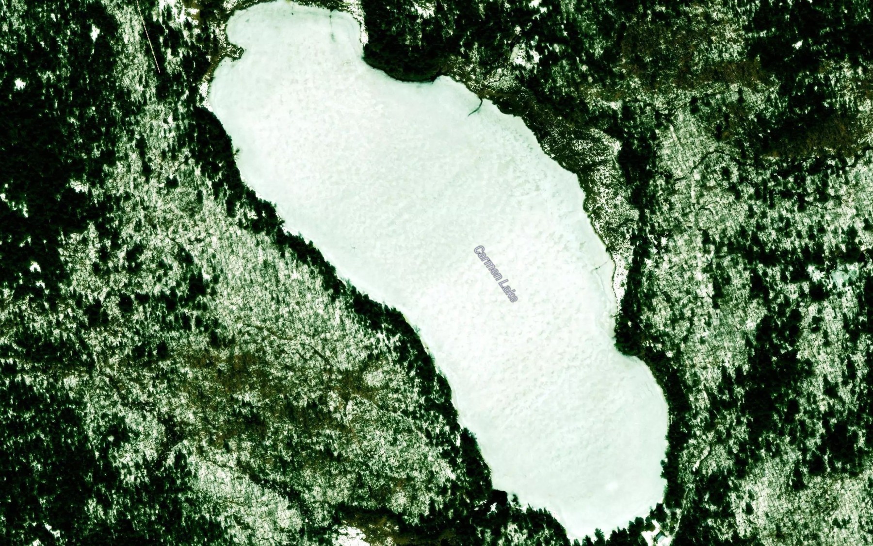 Satellite map of the Carmen Lake