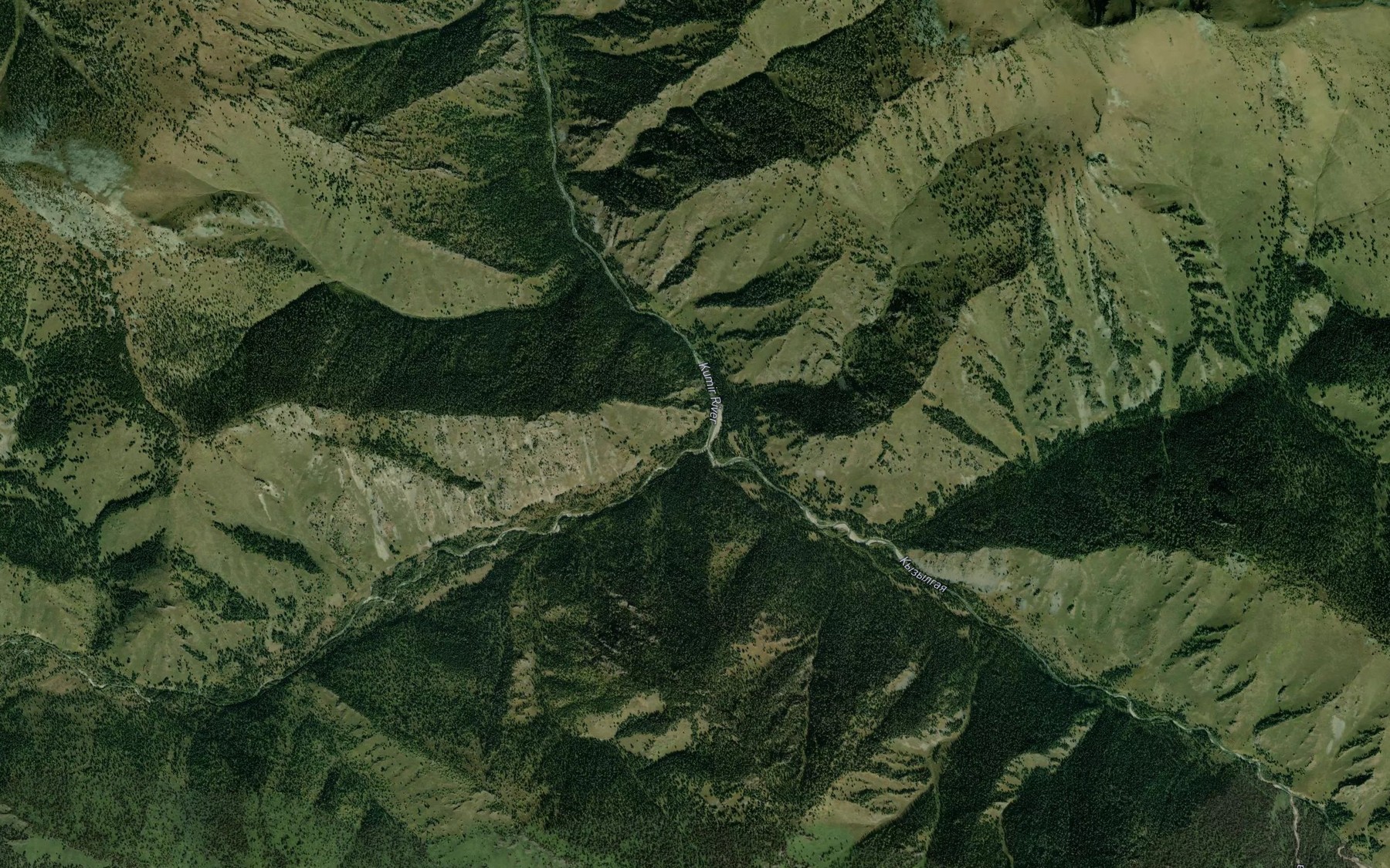 Satellite map of the Chernovaya
