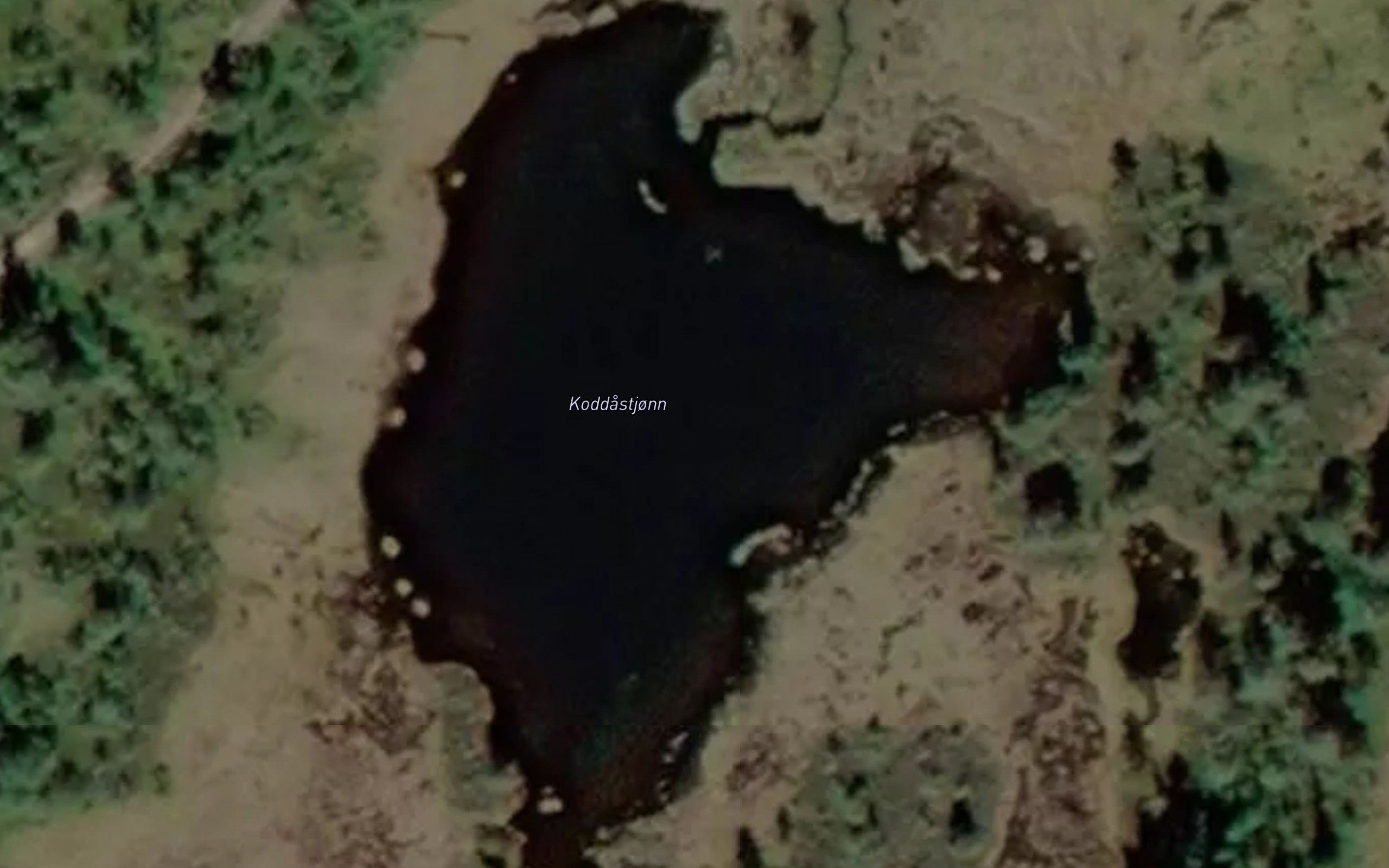 Koddastjorn