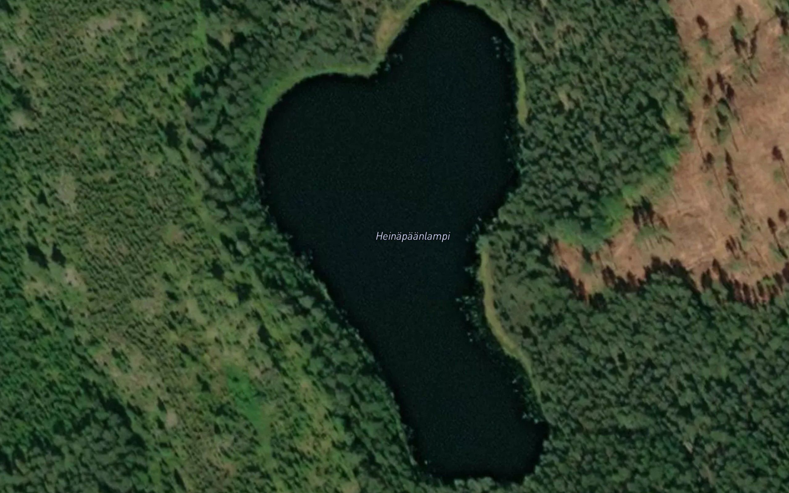 Heinapaanlampi
