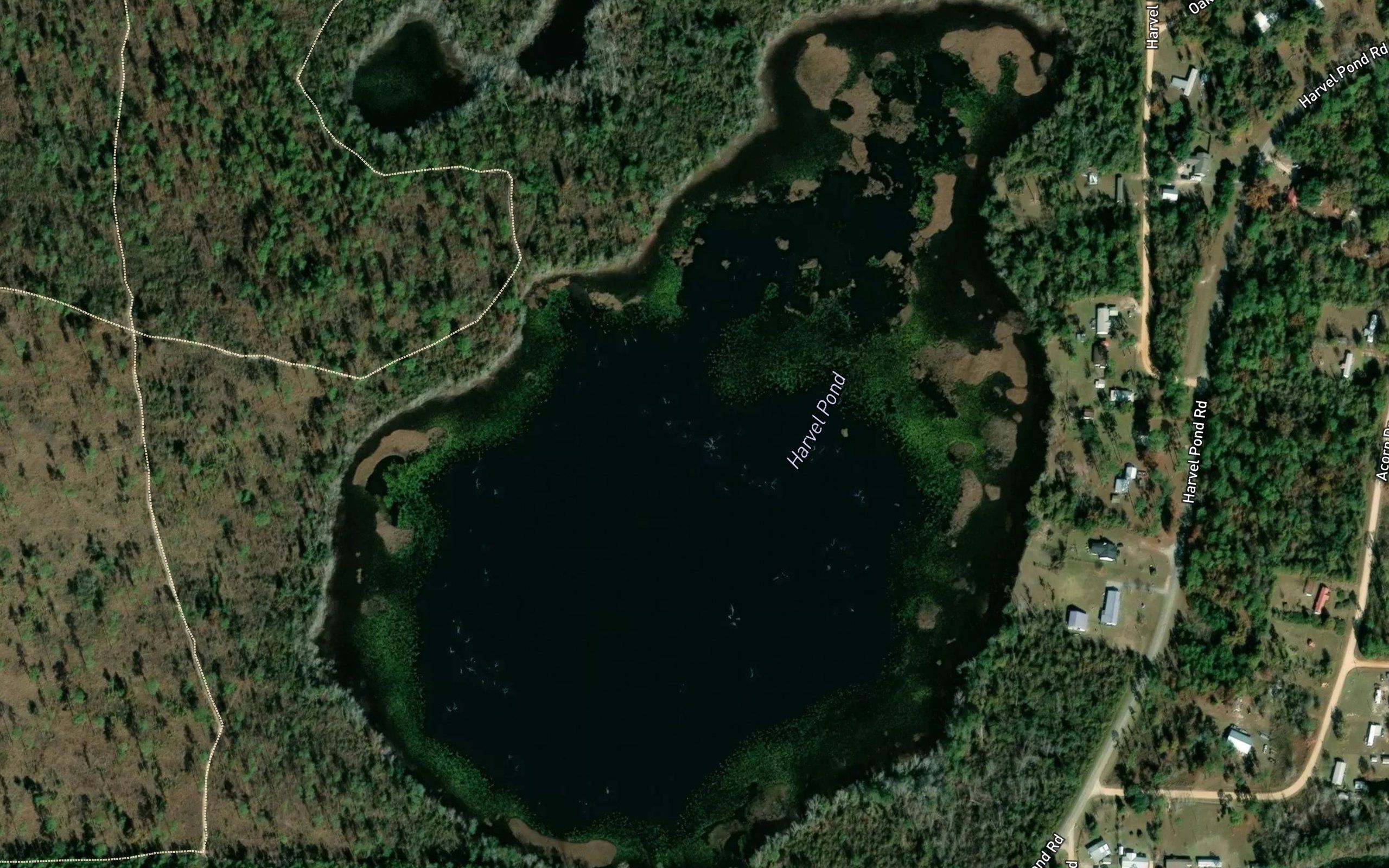 Harvel Pond