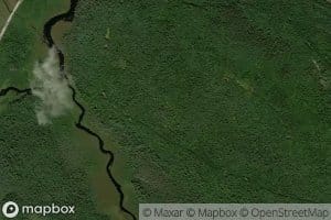 South Branch Cranberry Brook