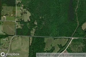 Trace Creek