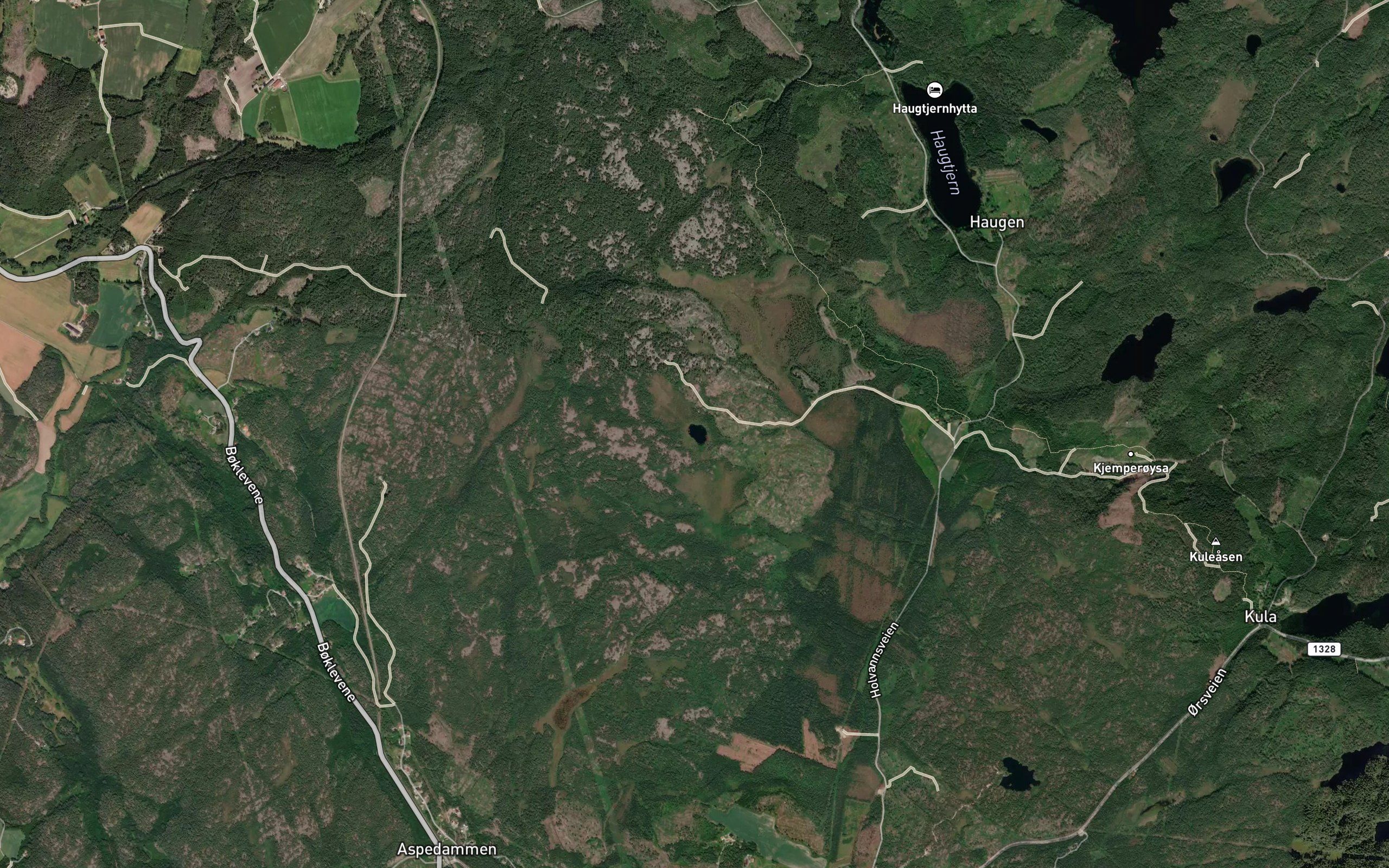 Lometjern