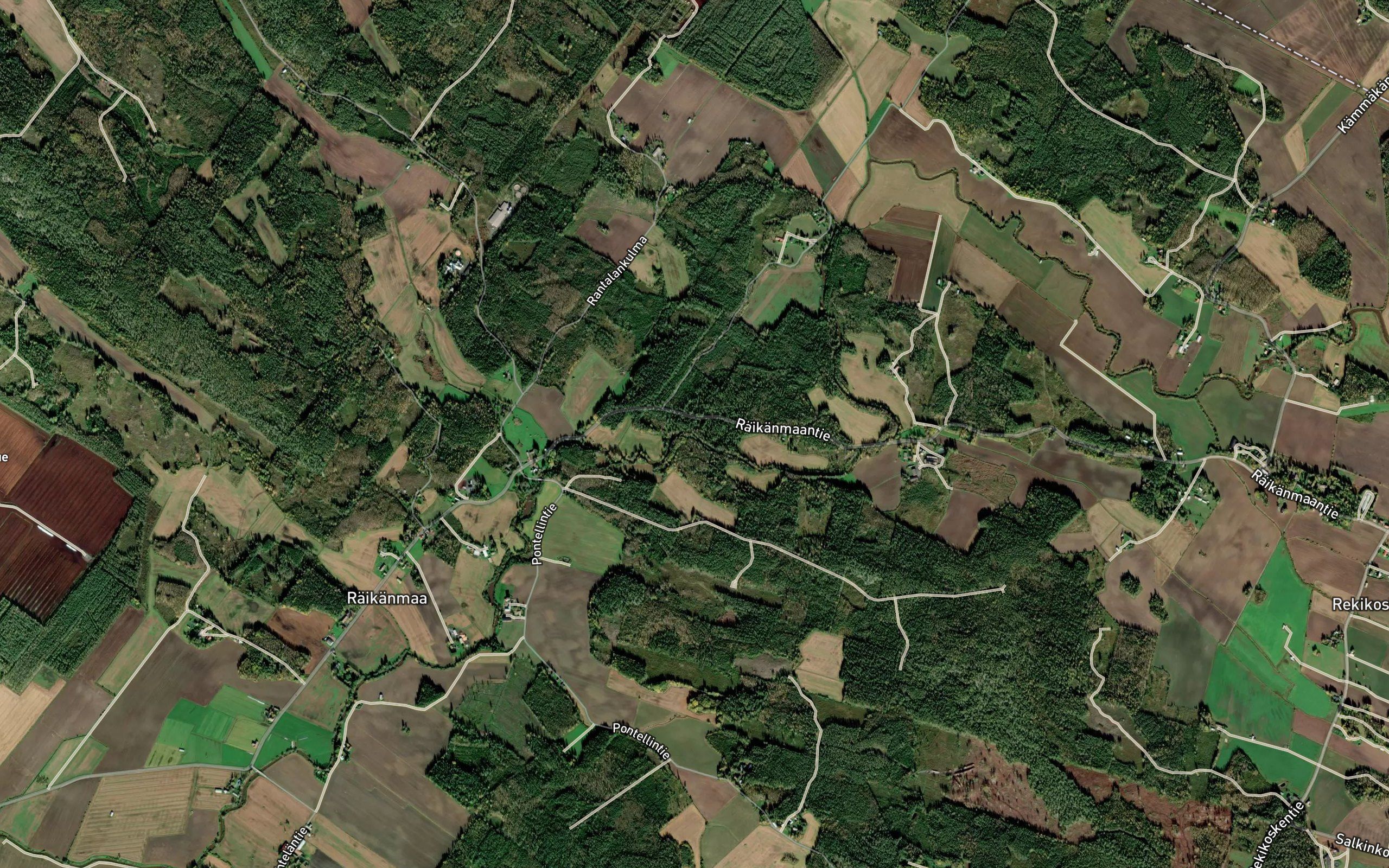 Korpioja