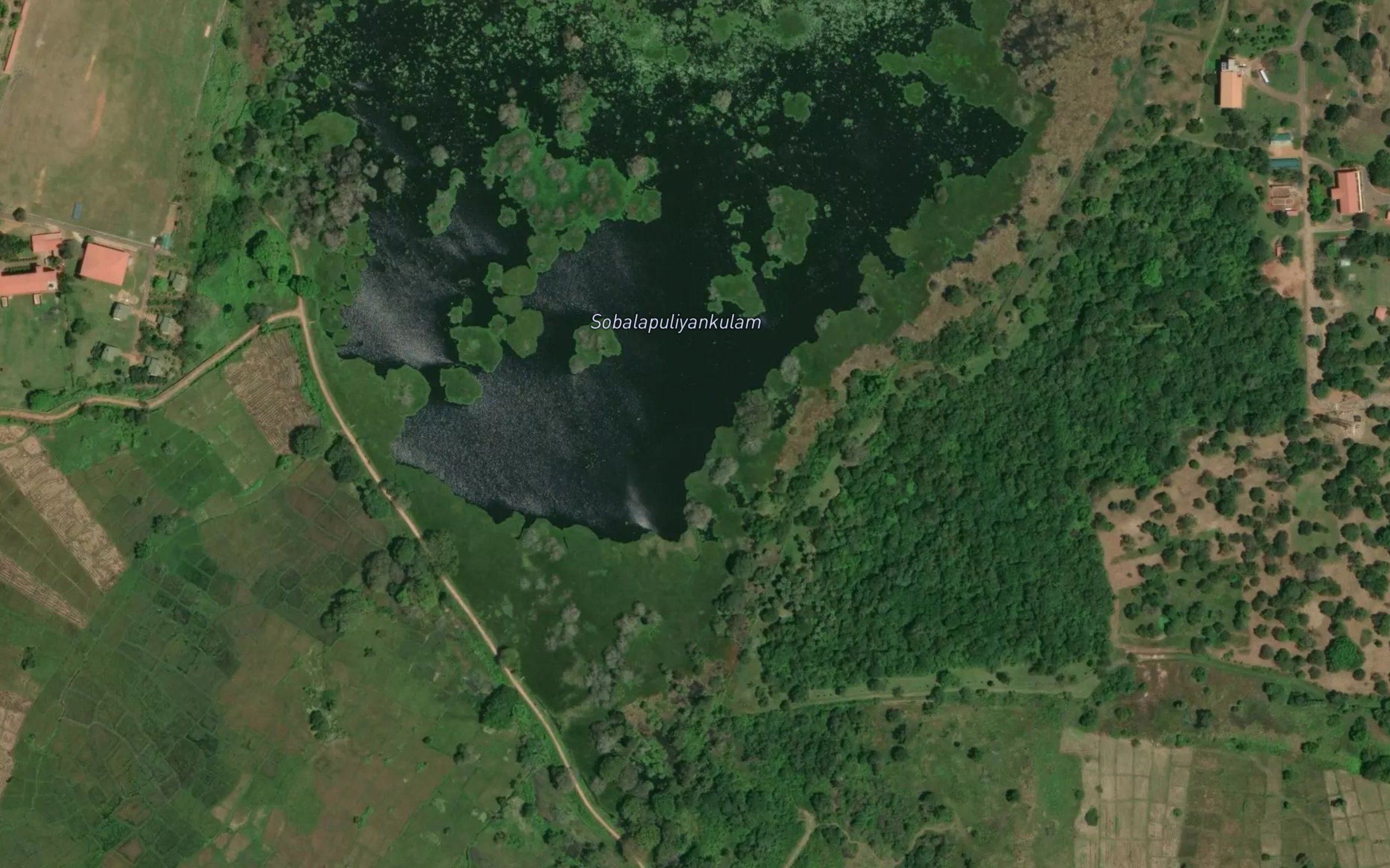 Sonakasalampaik Kulam