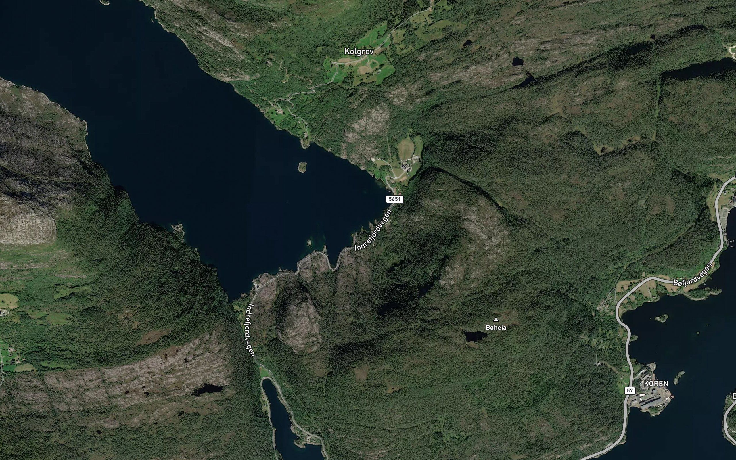 Gronevik