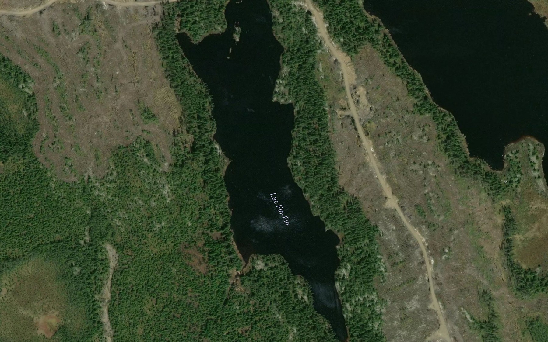 Satellite map of the Lac Fin-Fin