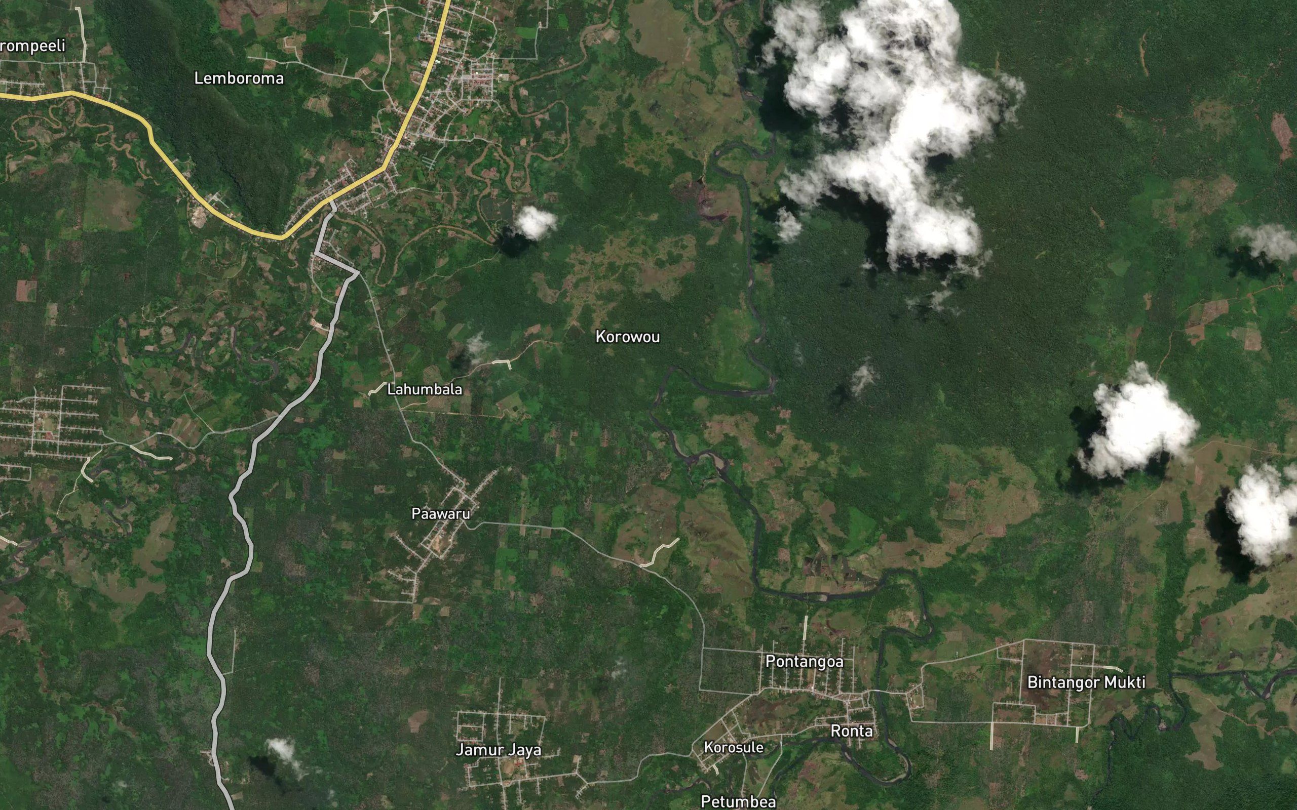 Koro Parawi