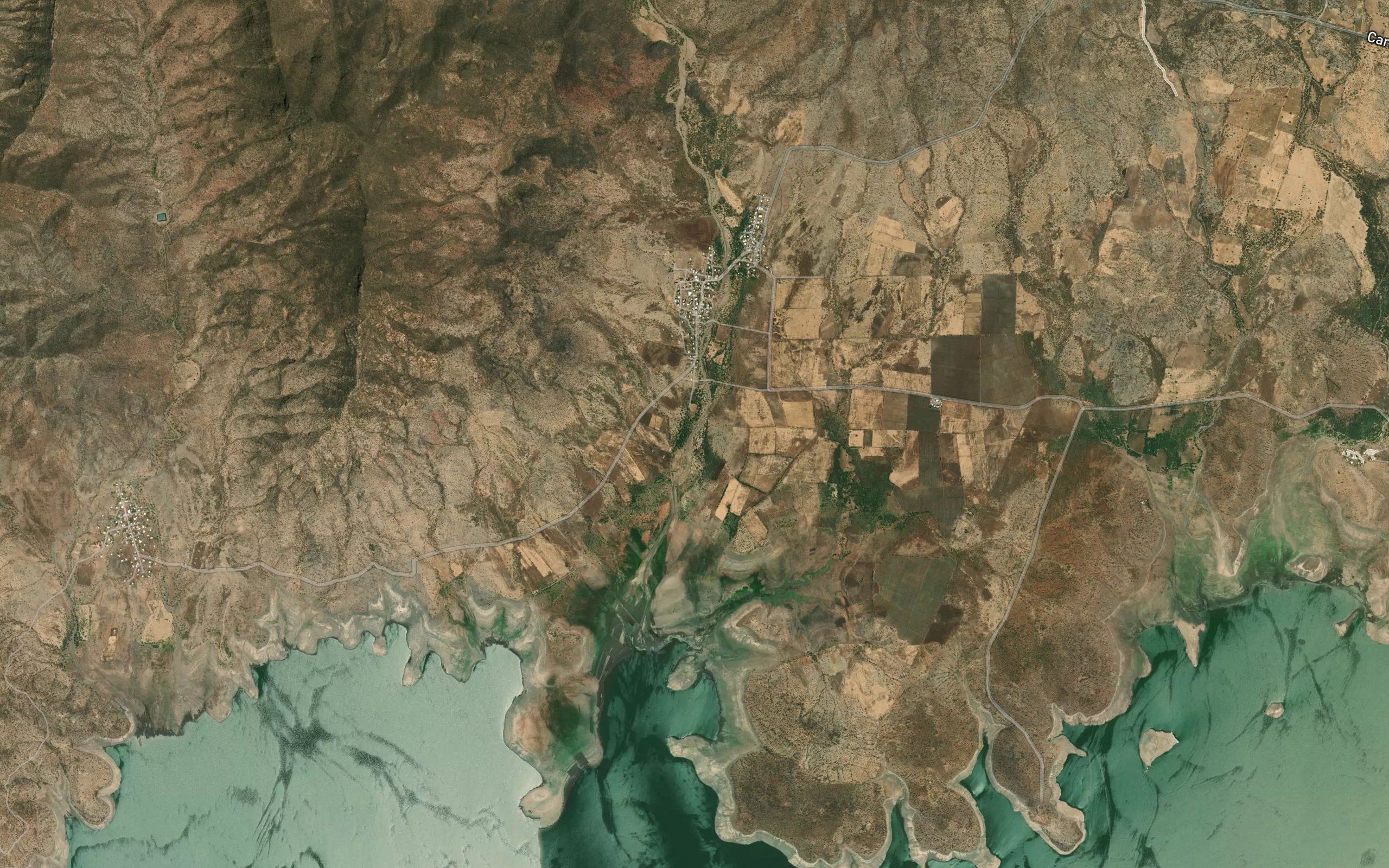 Palma de Huaro