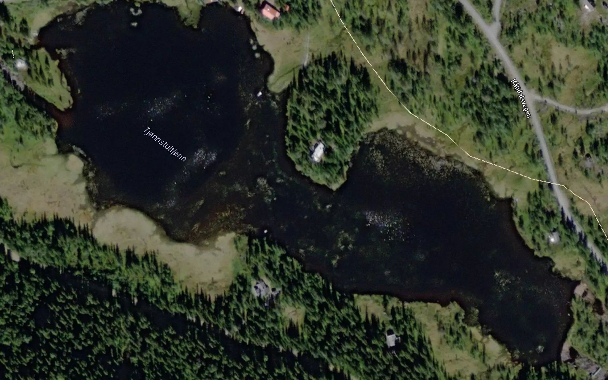 Tjonnstultjonn