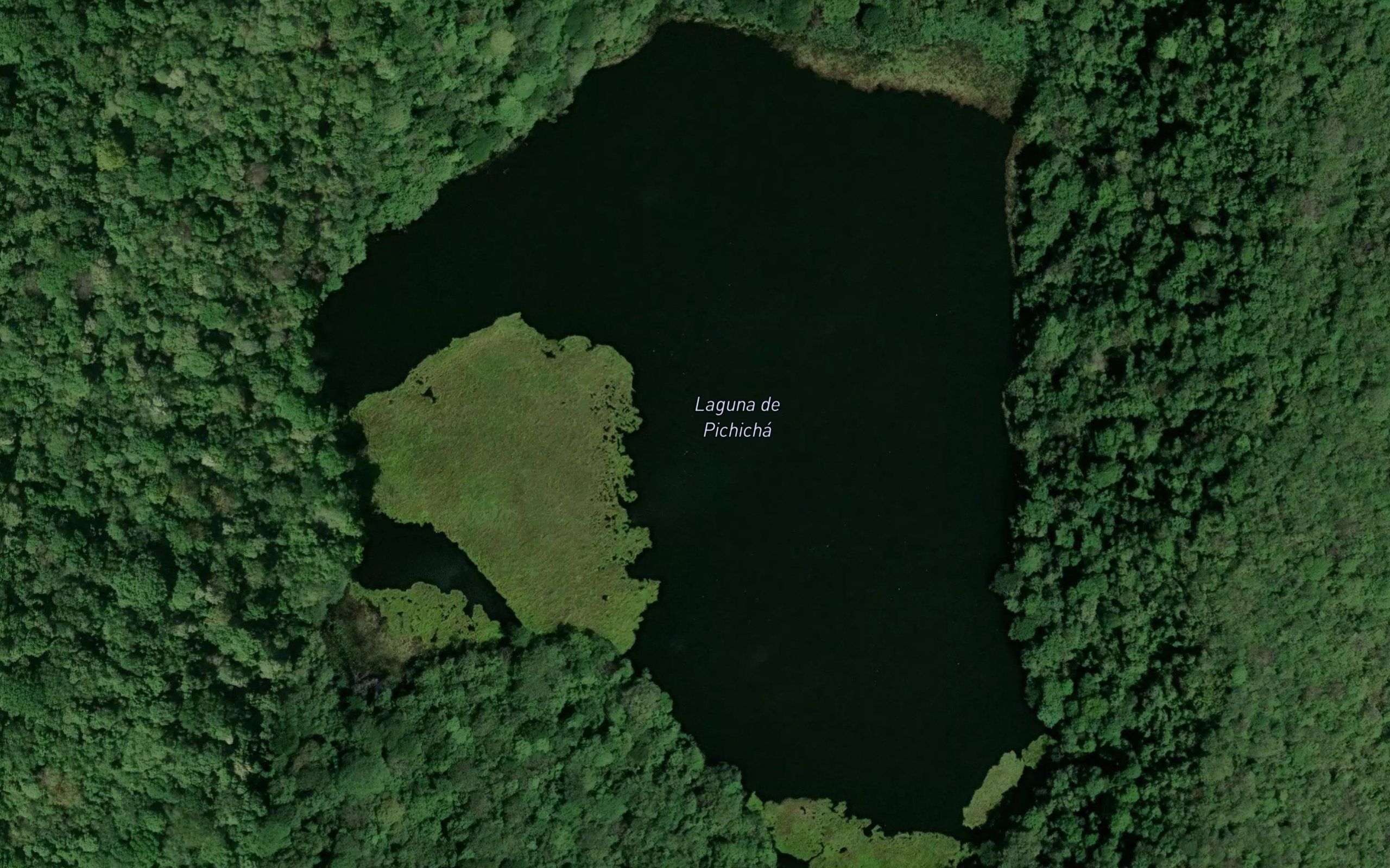 Laguna de Pichicha
