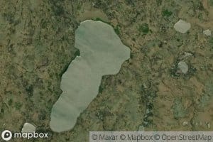 Southern Bloomy Pond
