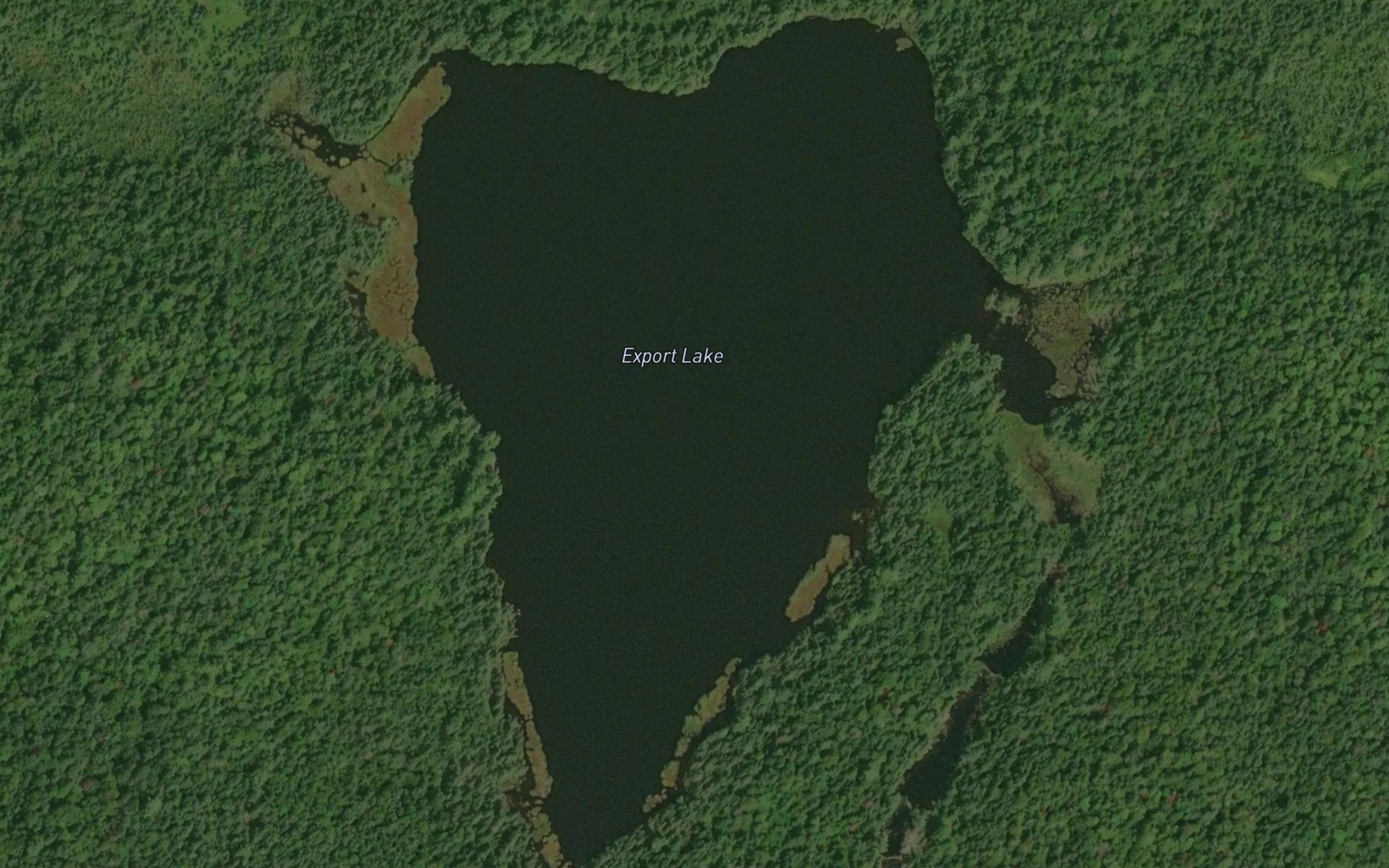 Satellite map of the Export Lake
